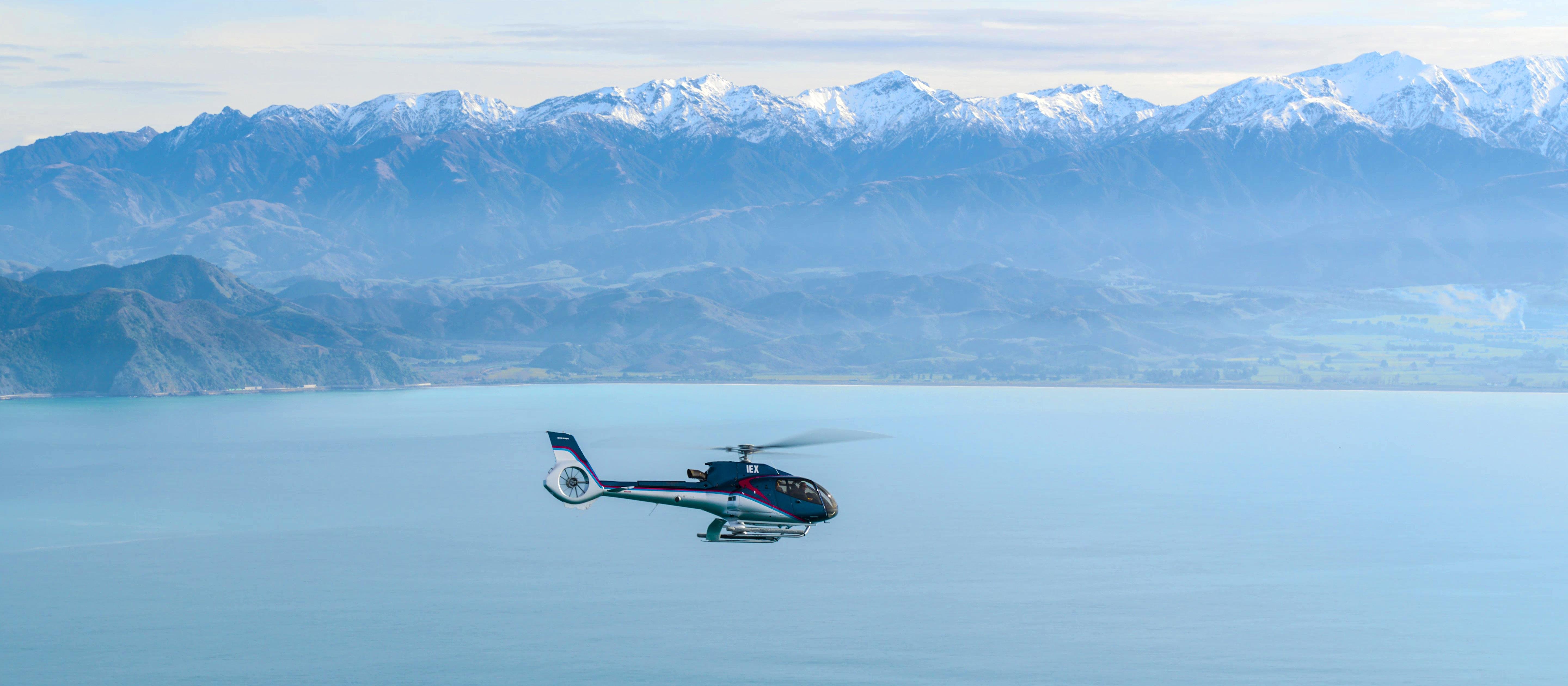 Kaikoura Helicopter Whale Watch with Alpine Landing