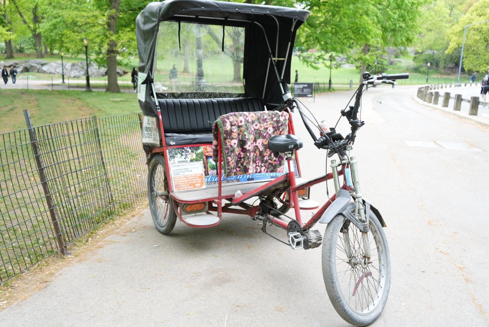Central Park Guided Pedicab or Carriage Tour