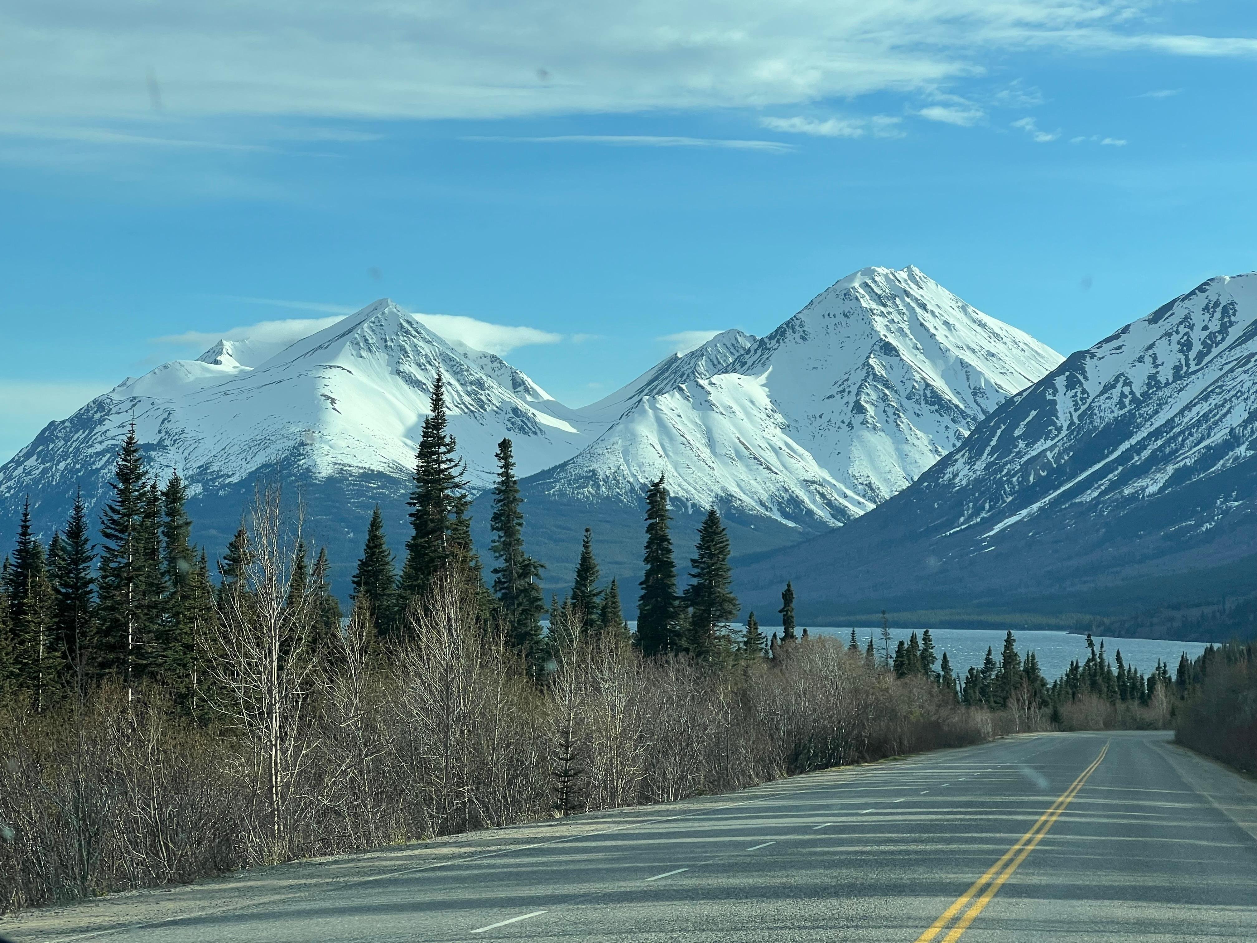 Yukon Discovery Tour from Skagway