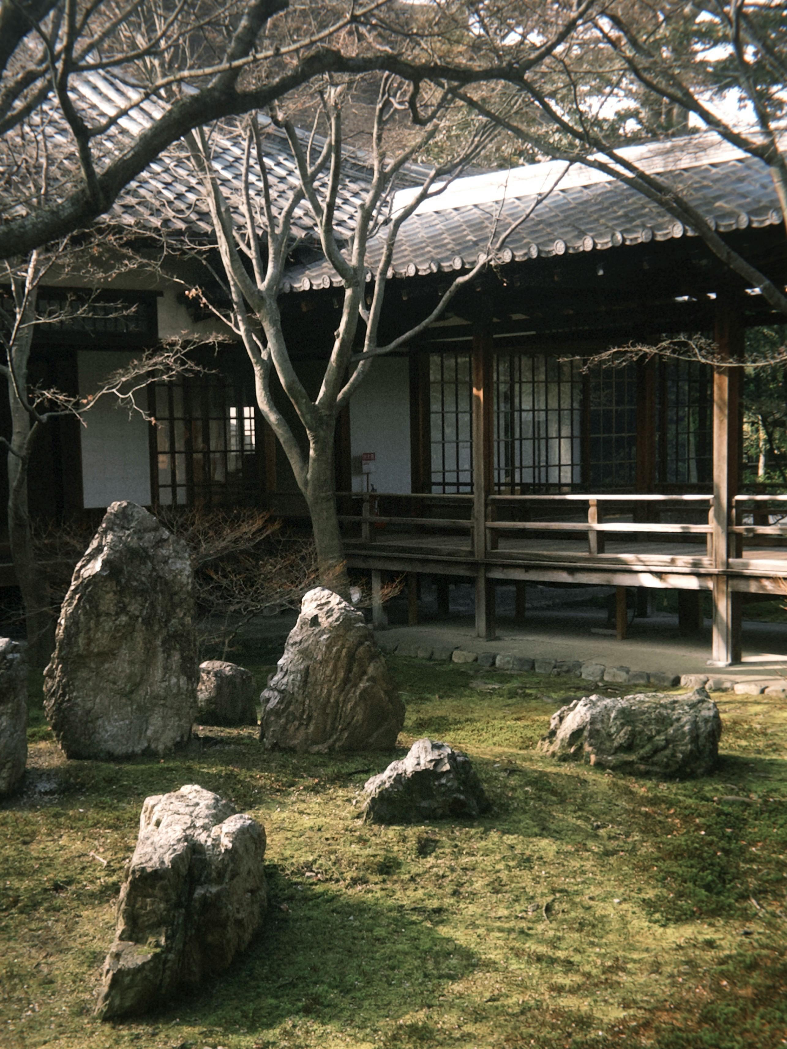 Osaka Custom Private Tour by Luxury Vehicle