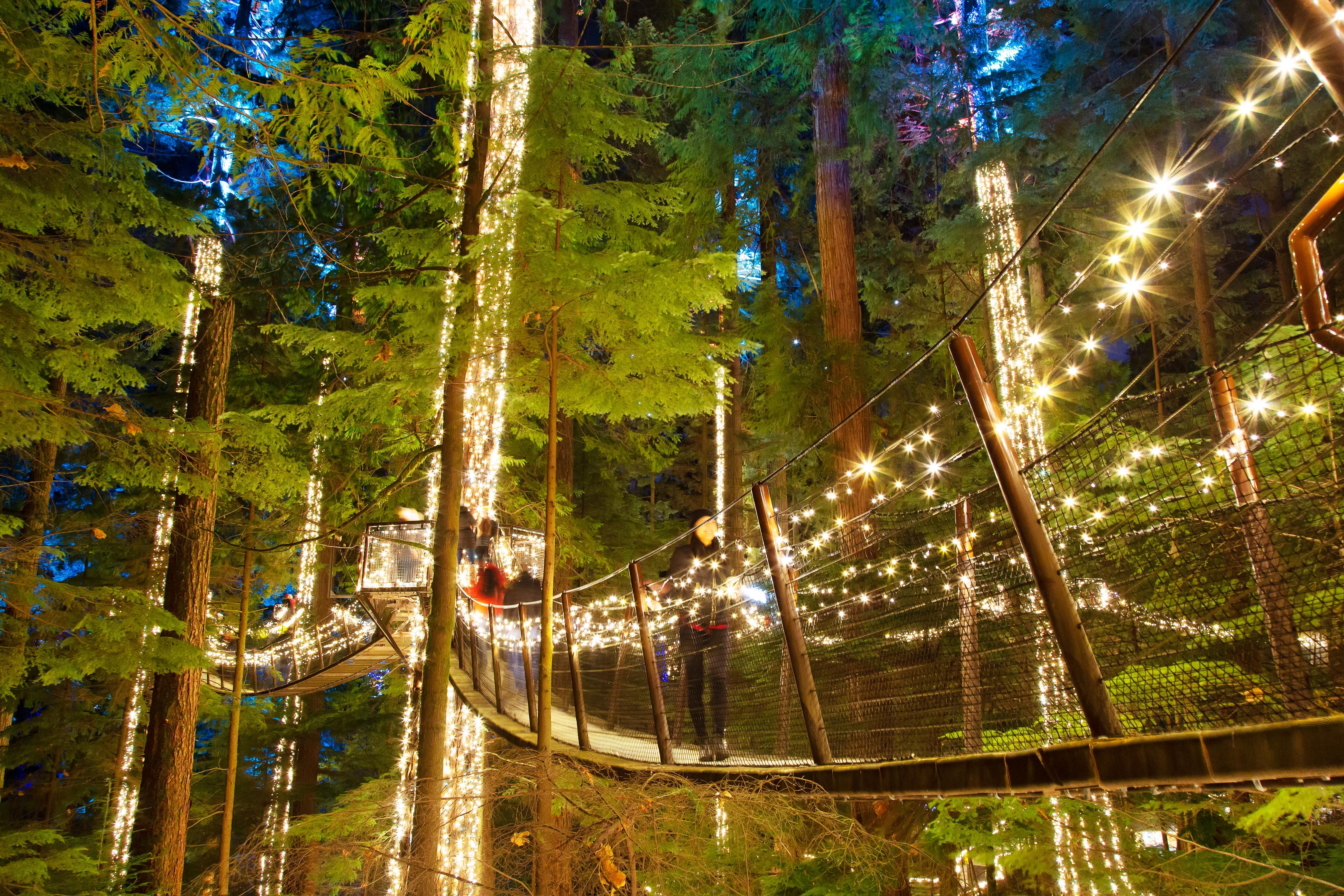 Vancouver North Shore & Capilano Canyon Lights Explorer