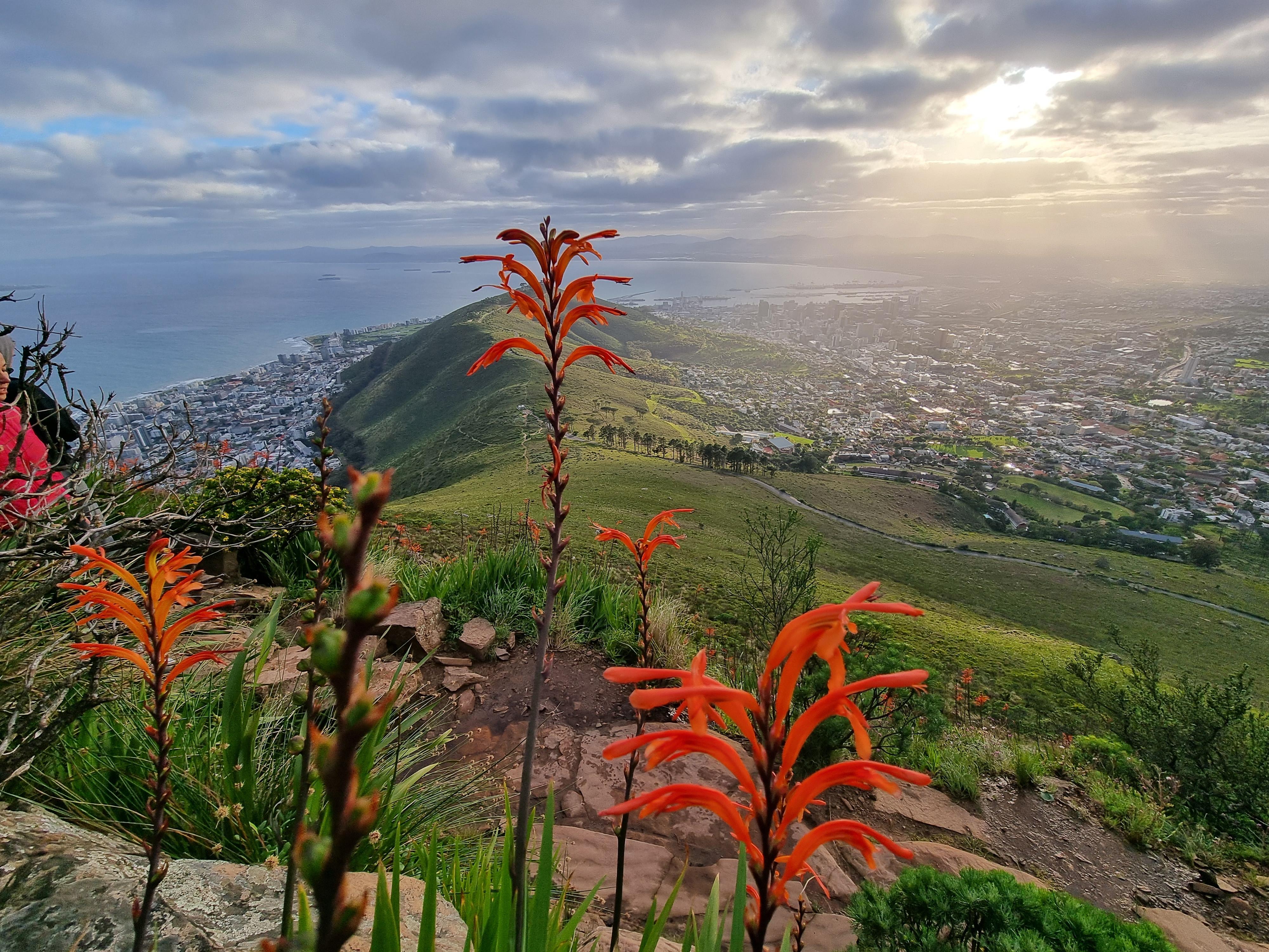 Table Mountain Guided Hike with Cable Car Descent