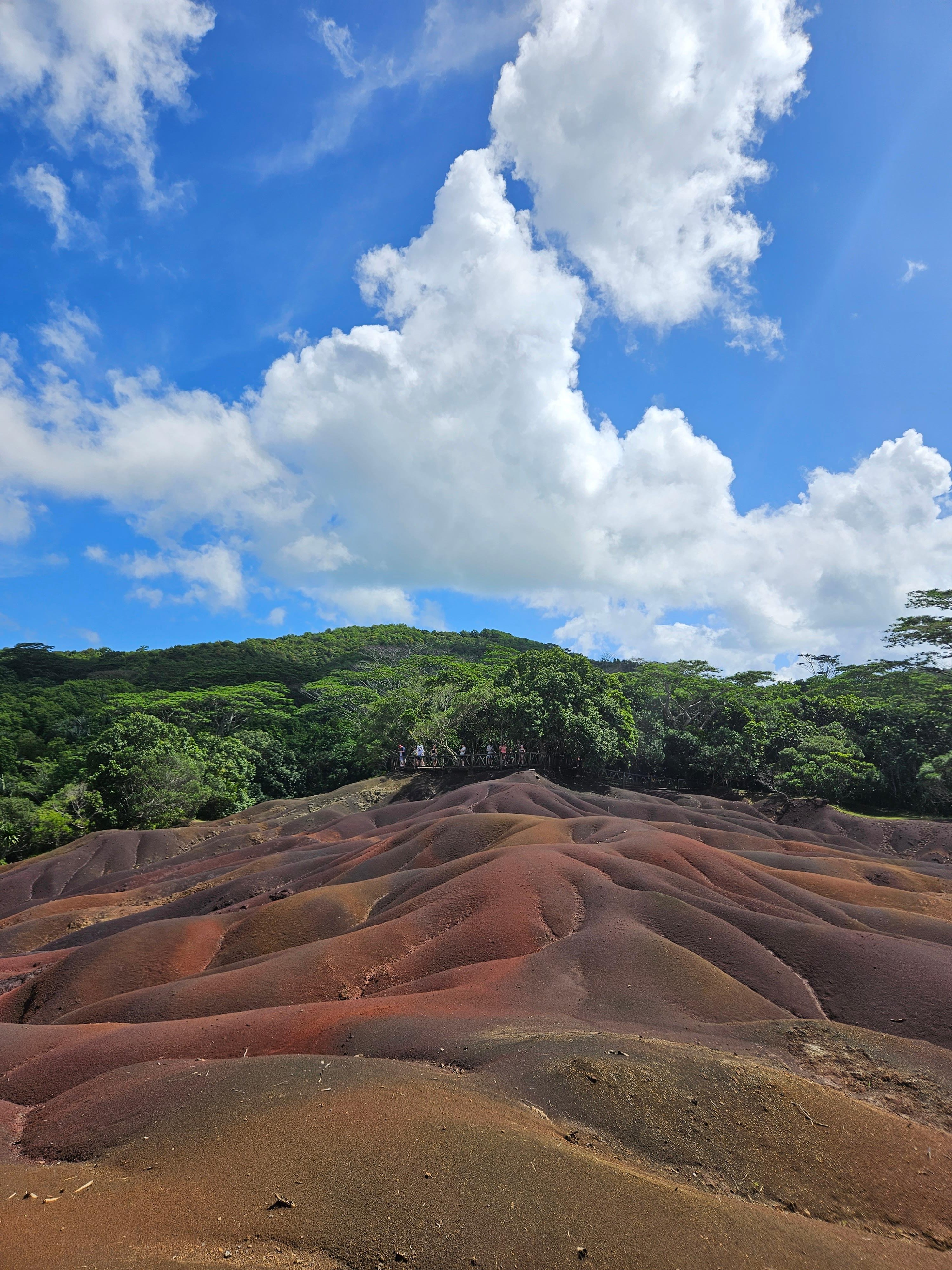 Private Southwest Mauritius: Chamarel & Nature Highlights