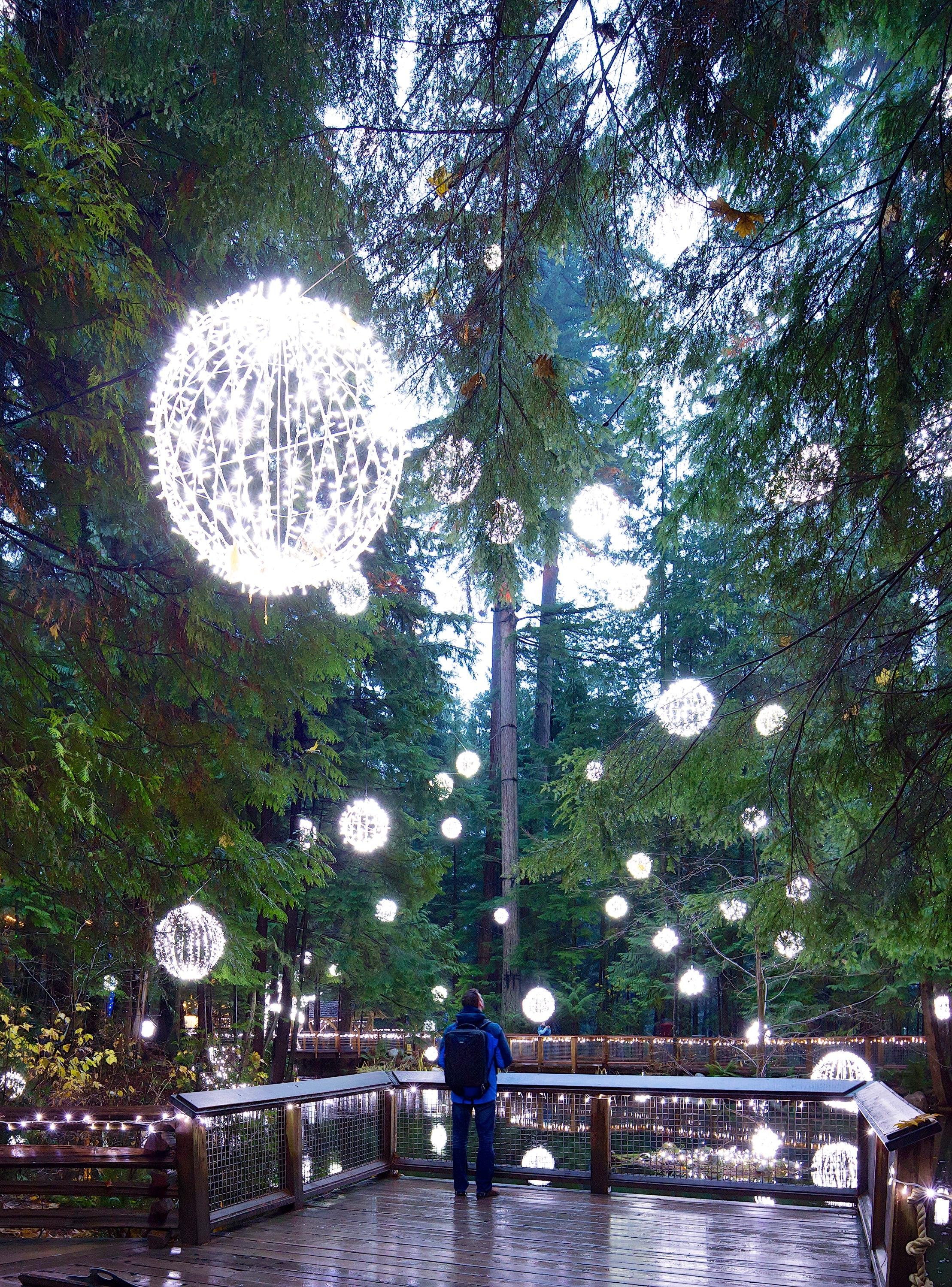 Capilano Suspension Bridge Park Entry