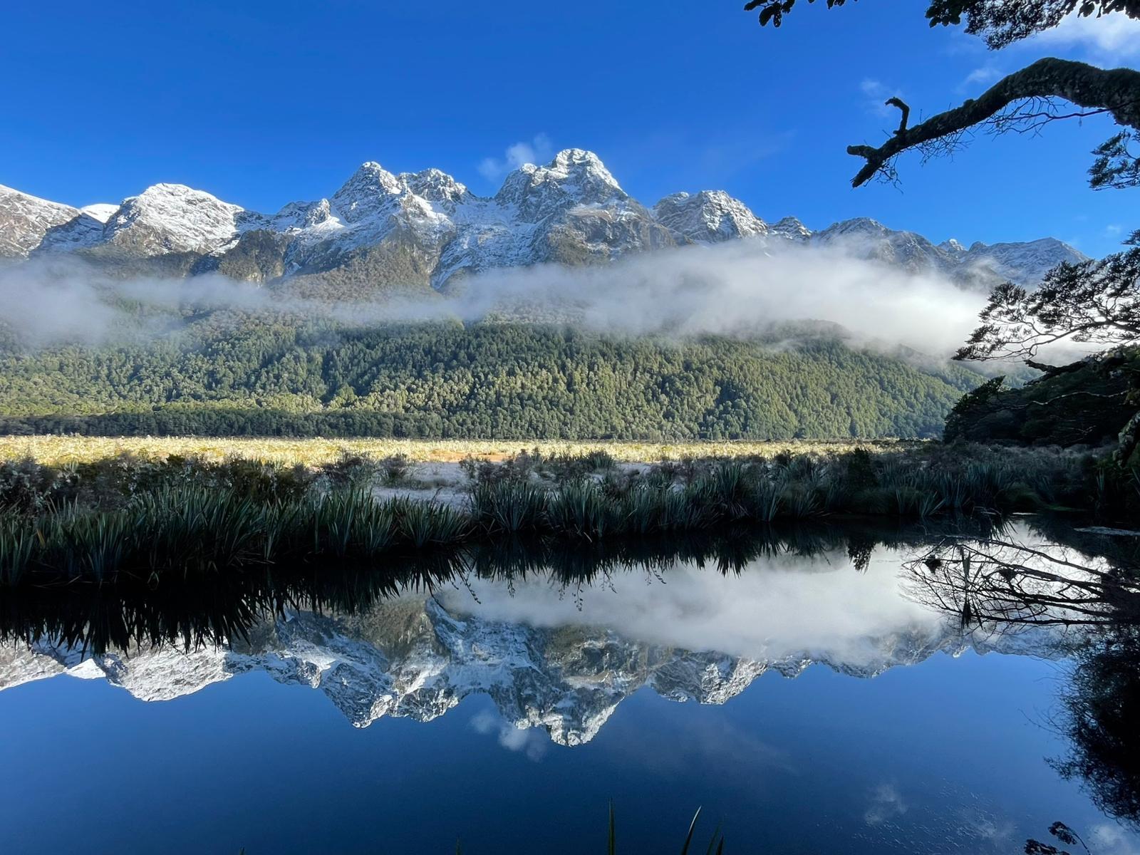 Milford Sound Small-Group Day Tour from Queenstown with Cruise & Lunch