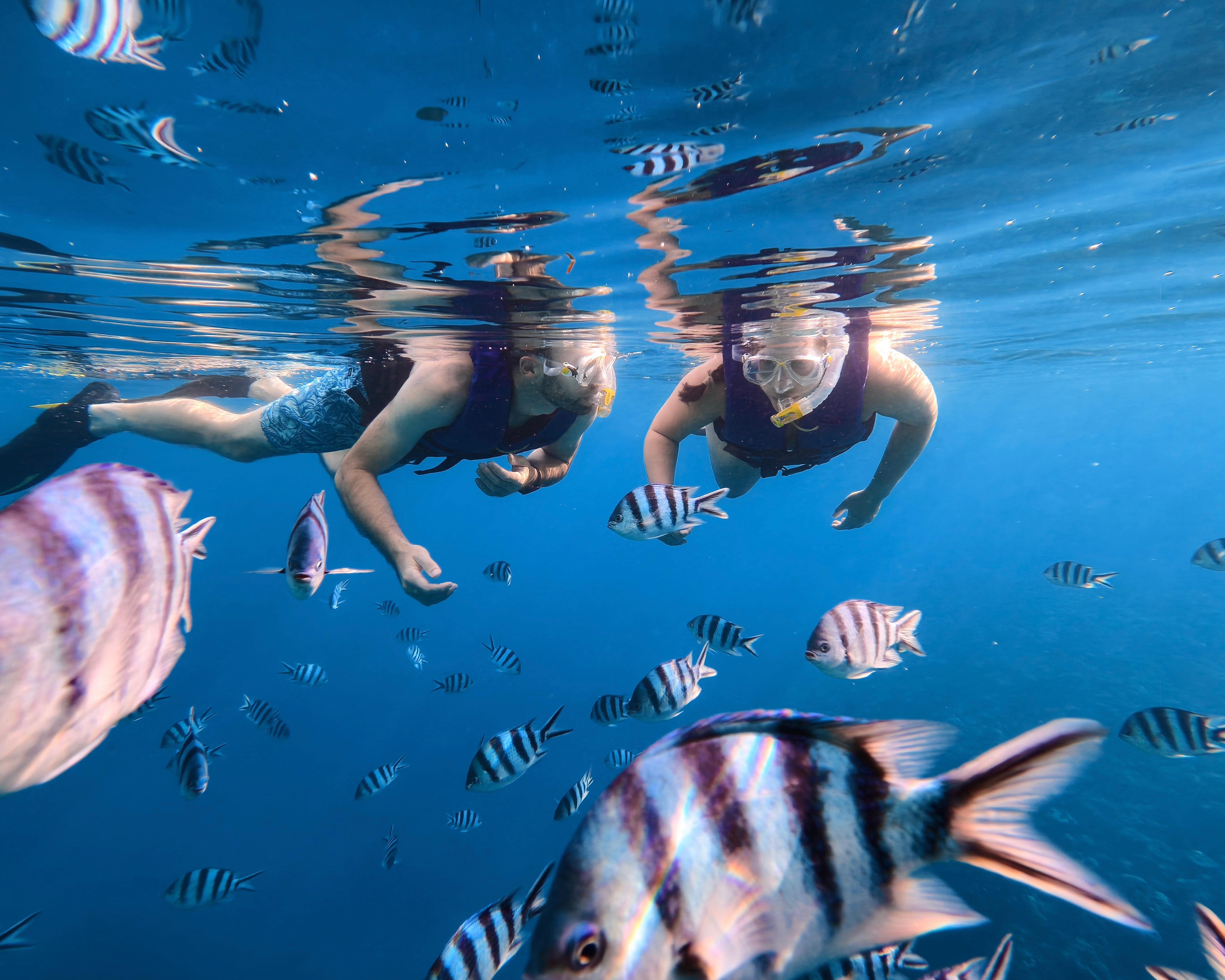 Blue Cave Okinawa snorkelling at Cape Maeda, Onna Village — image 34