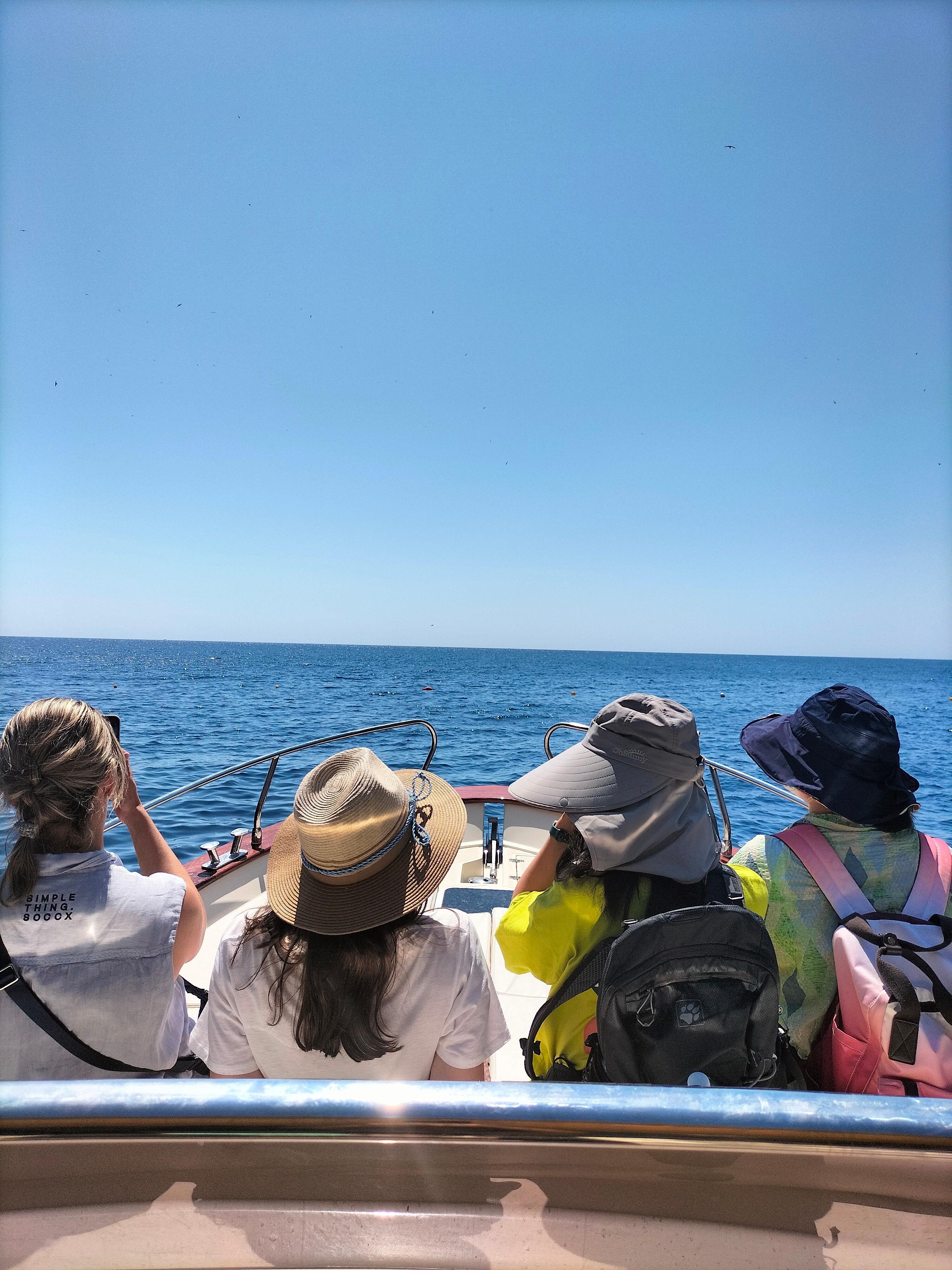 Castro Coastal Caves & Swimming Boat Experience