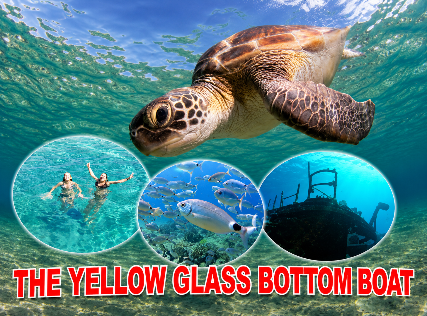 Paphos Yellow Boat: Shipwreck, Moulia Islands & Blue Lagoon Cruise