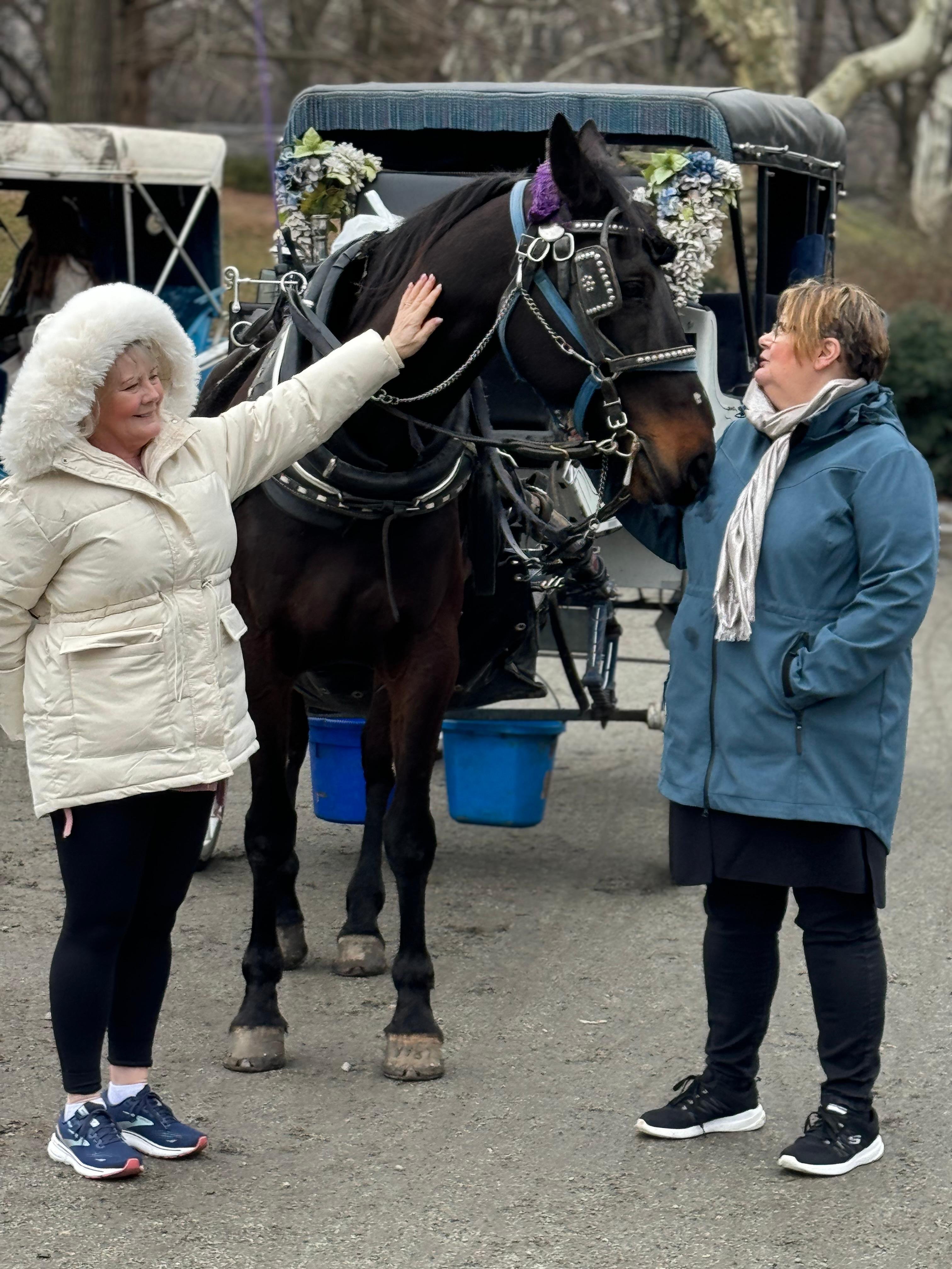 Private Central Park Horse Carriage Tour with Guide