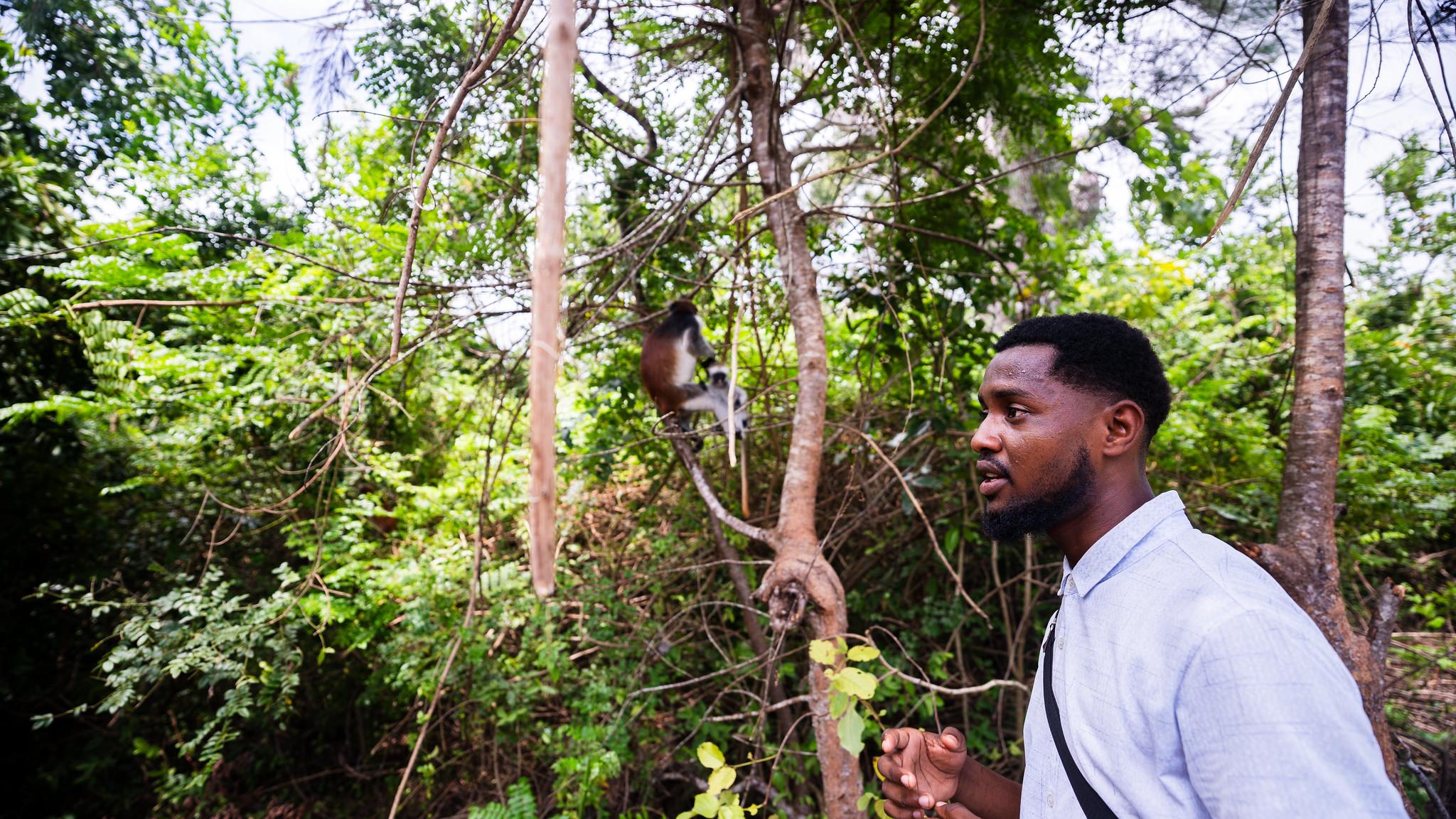 Zanzibar Hidden Gems: Secret Beach, Kuza Cave & Jozani Forest