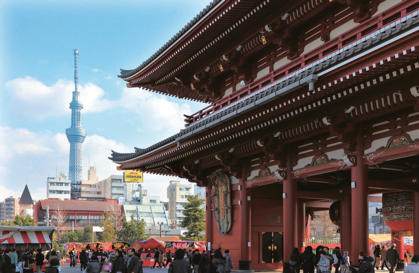 Dynamic Tokyo Full-Day Tour: Tea Ceremony, Buffet Lunch & Bay Cruise