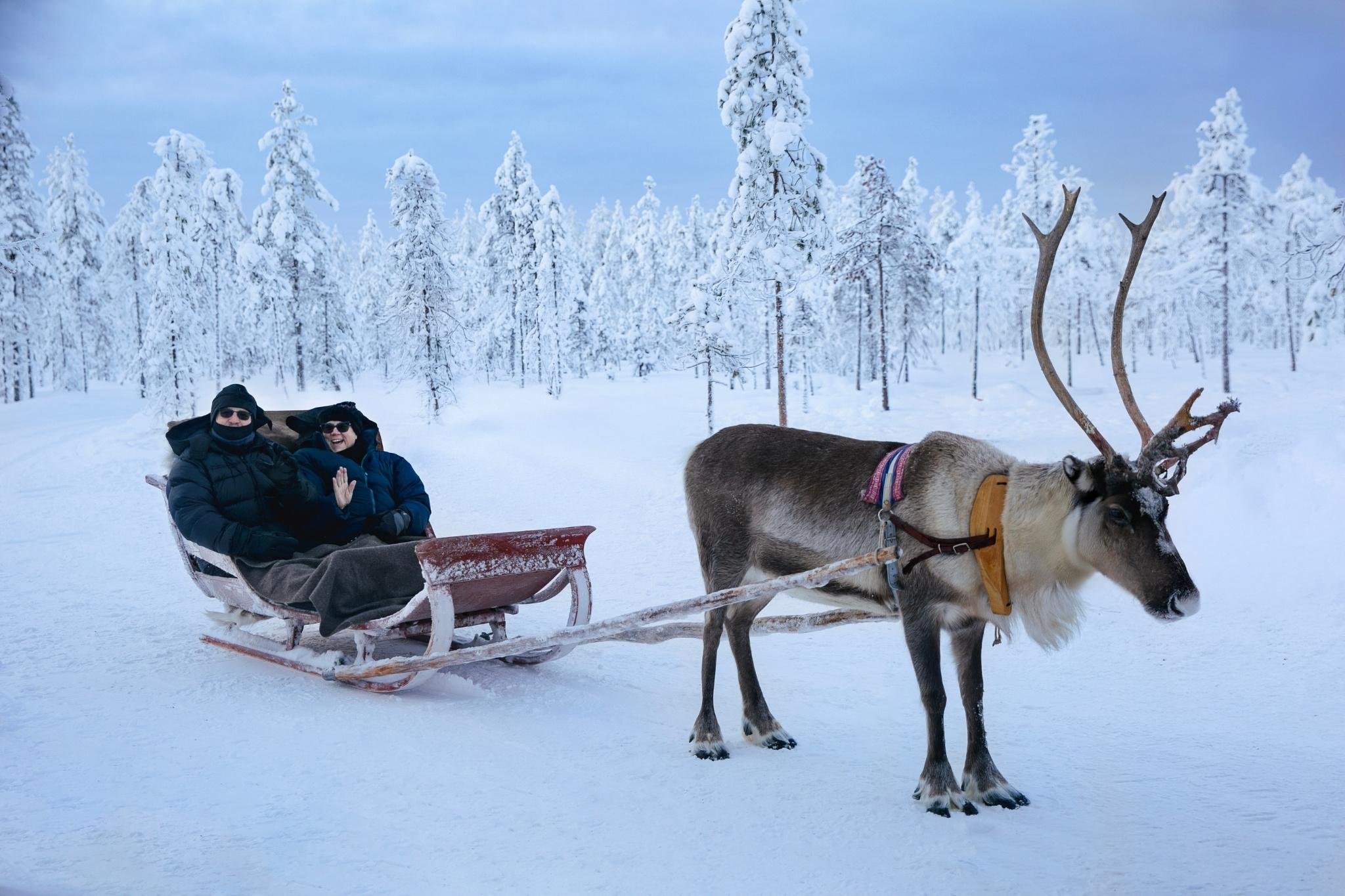Rovaniemi Reindeer Safari & Sled Ride with Sámi Heritage