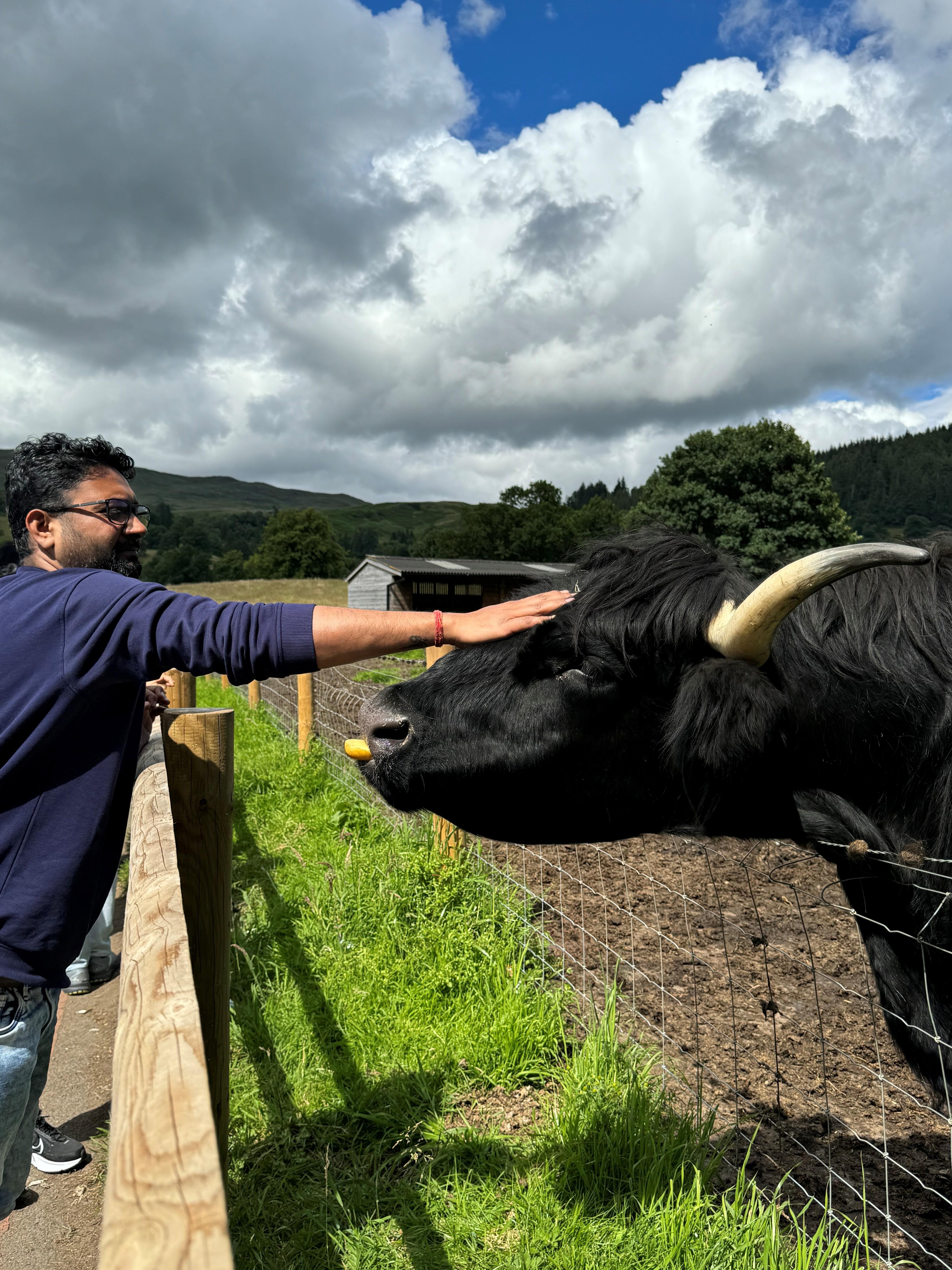 Loch Ness Glencoe Highlands day trip from Edinburgh — Scottish Highland scenery — image 18