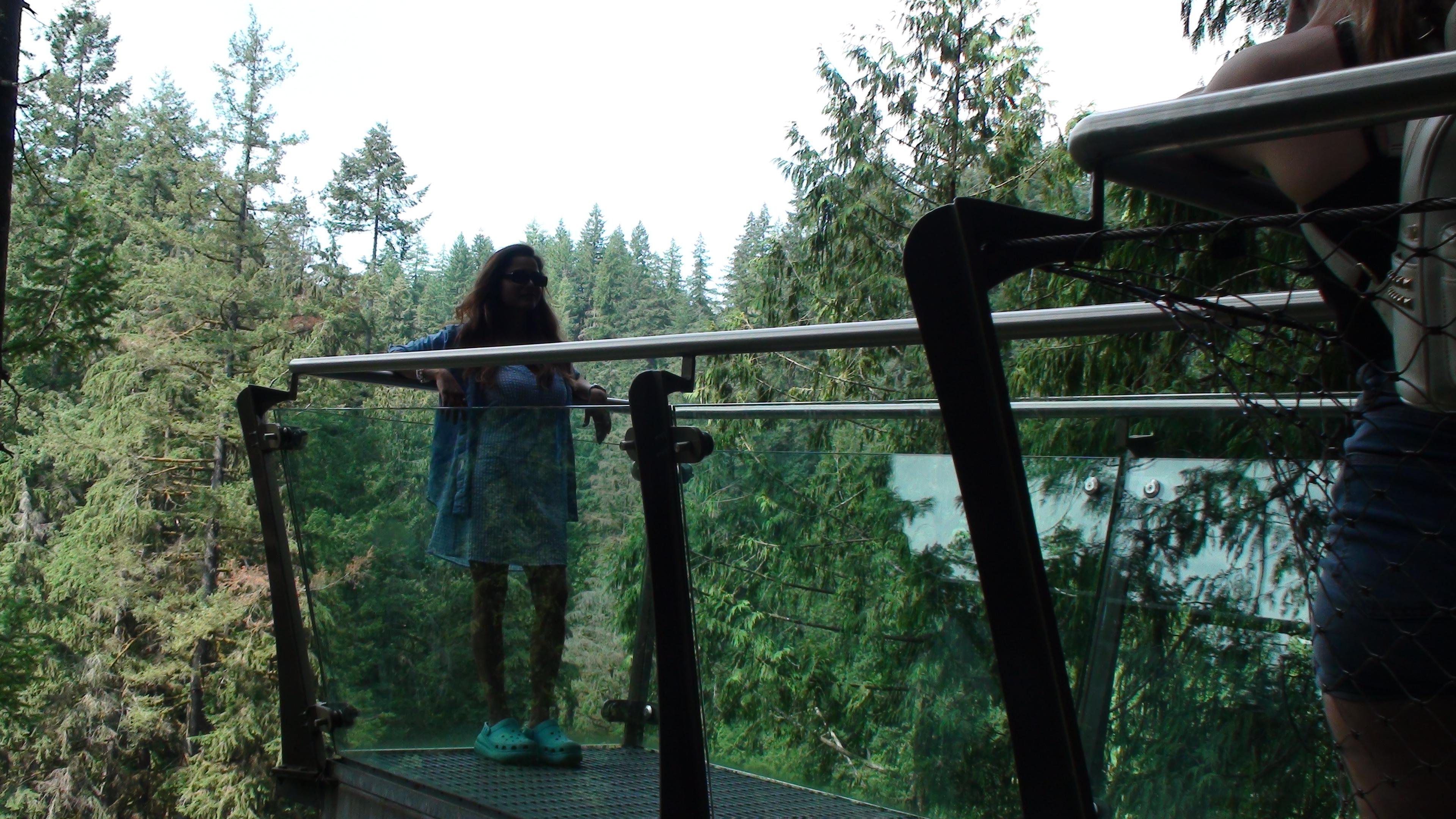 Capilano Suspension Bridge & Stanley Park Small Group Tour