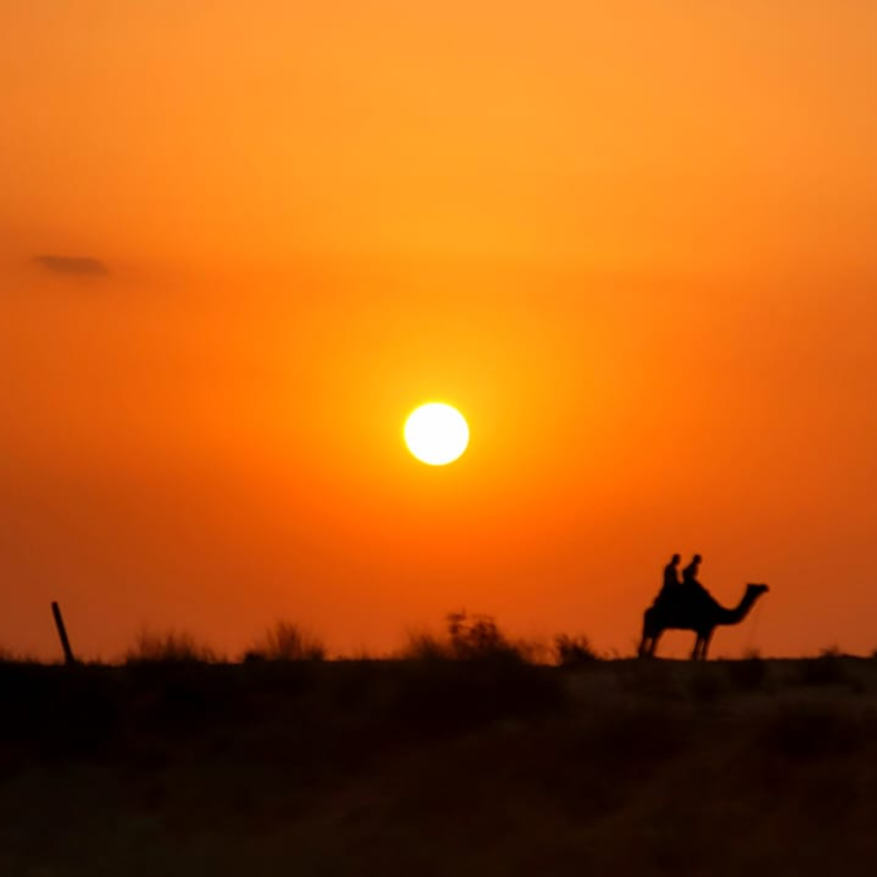Jodhpur: Thar Desert Camel & Jeep Safari with Traditional Dining