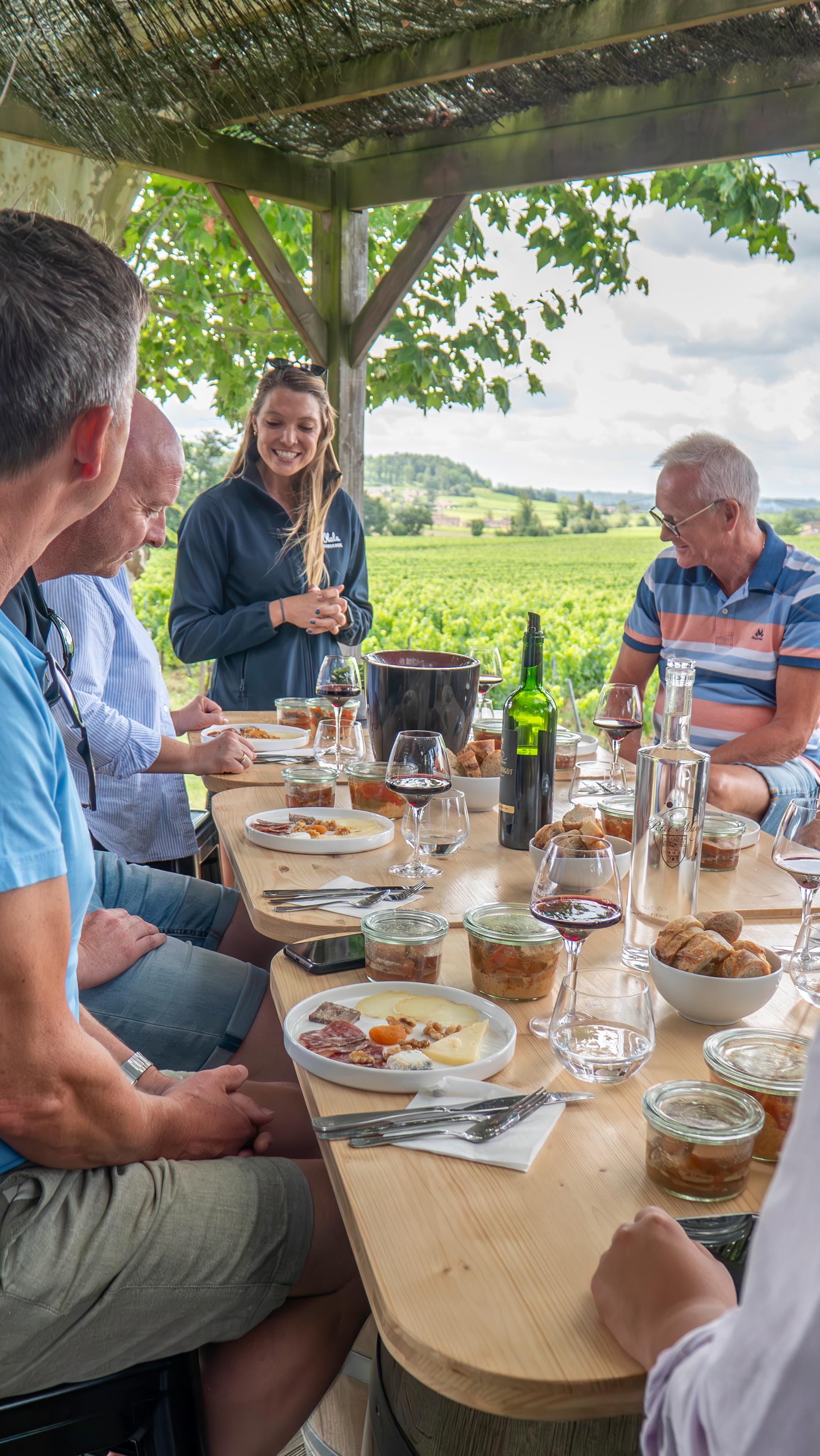 wine tour in Bordeaux — photo 3