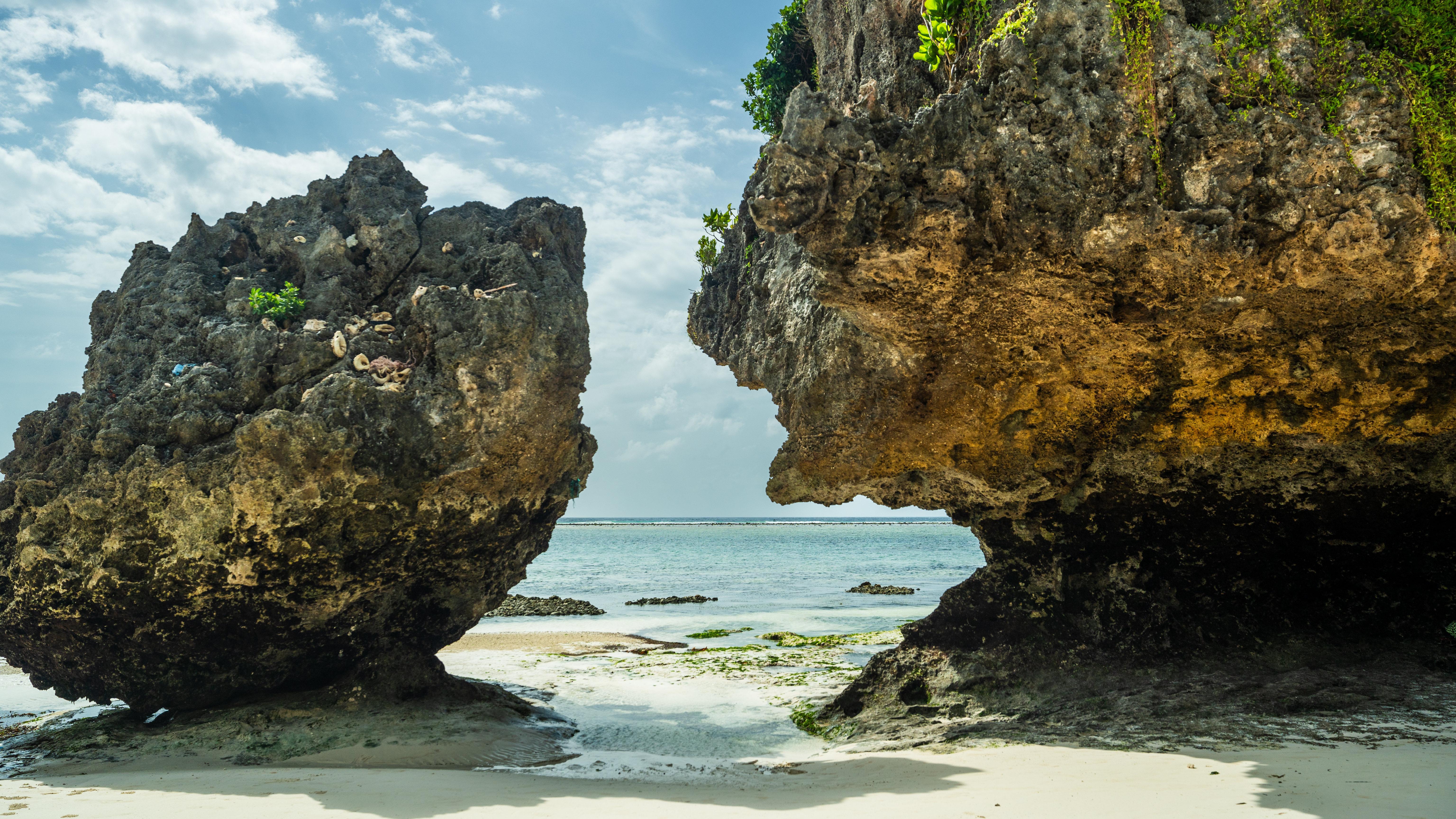 Zanzibar Hidden Gems: Secret Beach, Kuza Cave & Jozani Forest