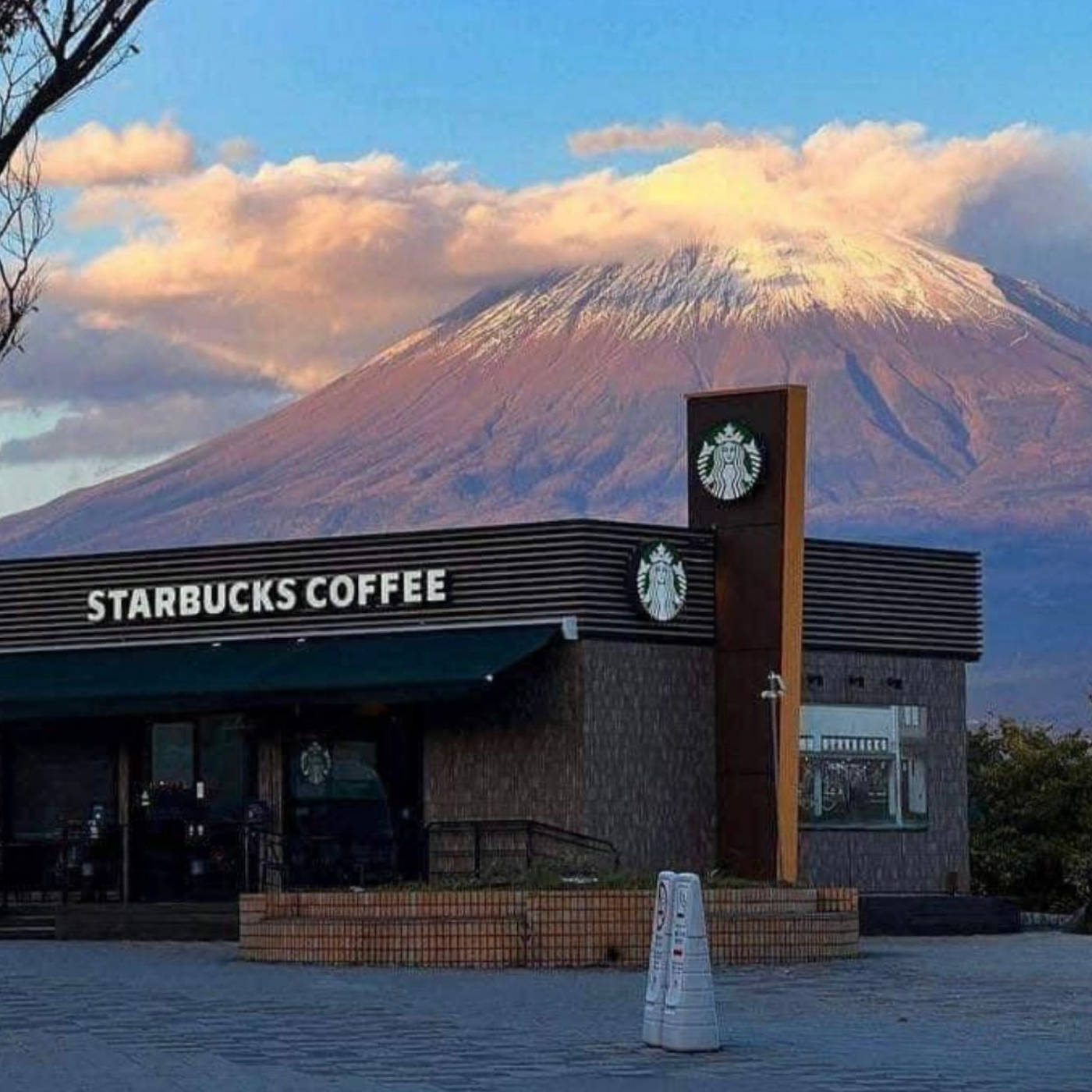 Private Mount Fuji & Hakone Day Tour from Tokyo