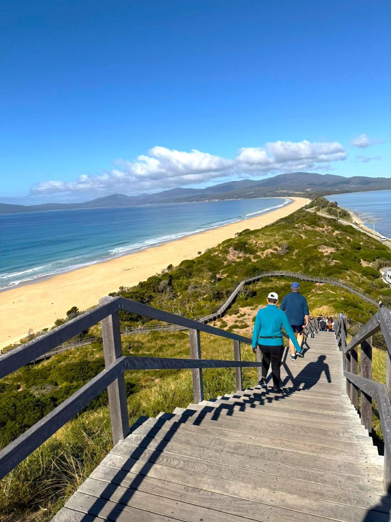 Bruny Island Discovery Day Tour
