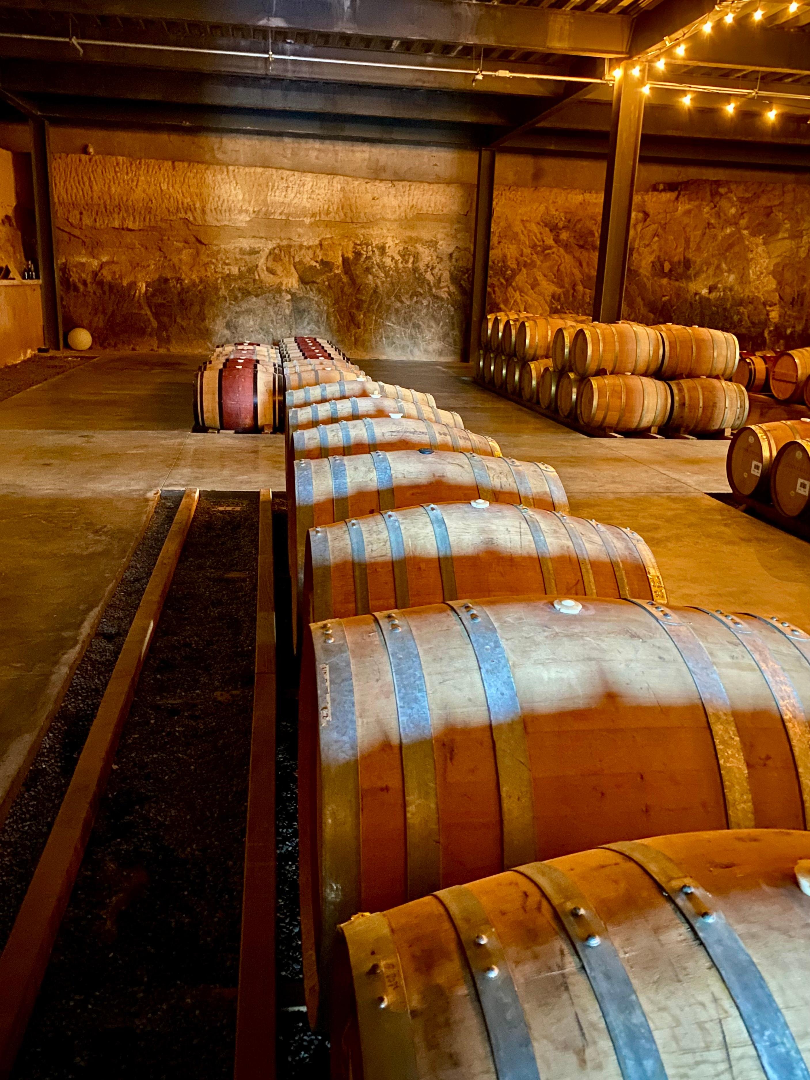 wine tour in Valle de Guadalupe — photo 46