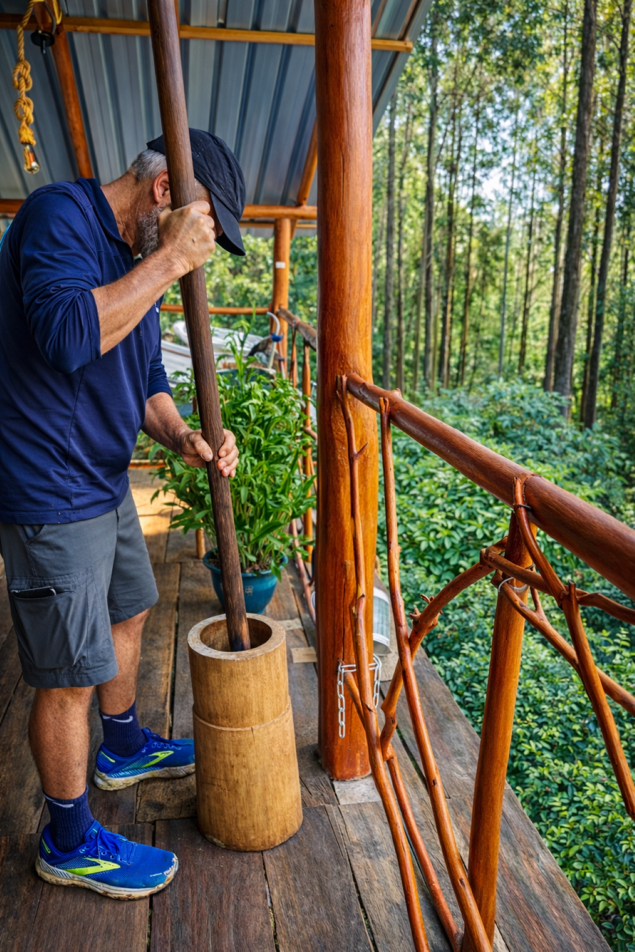 Ella: Hands-On Tea Making and Tasting Experience