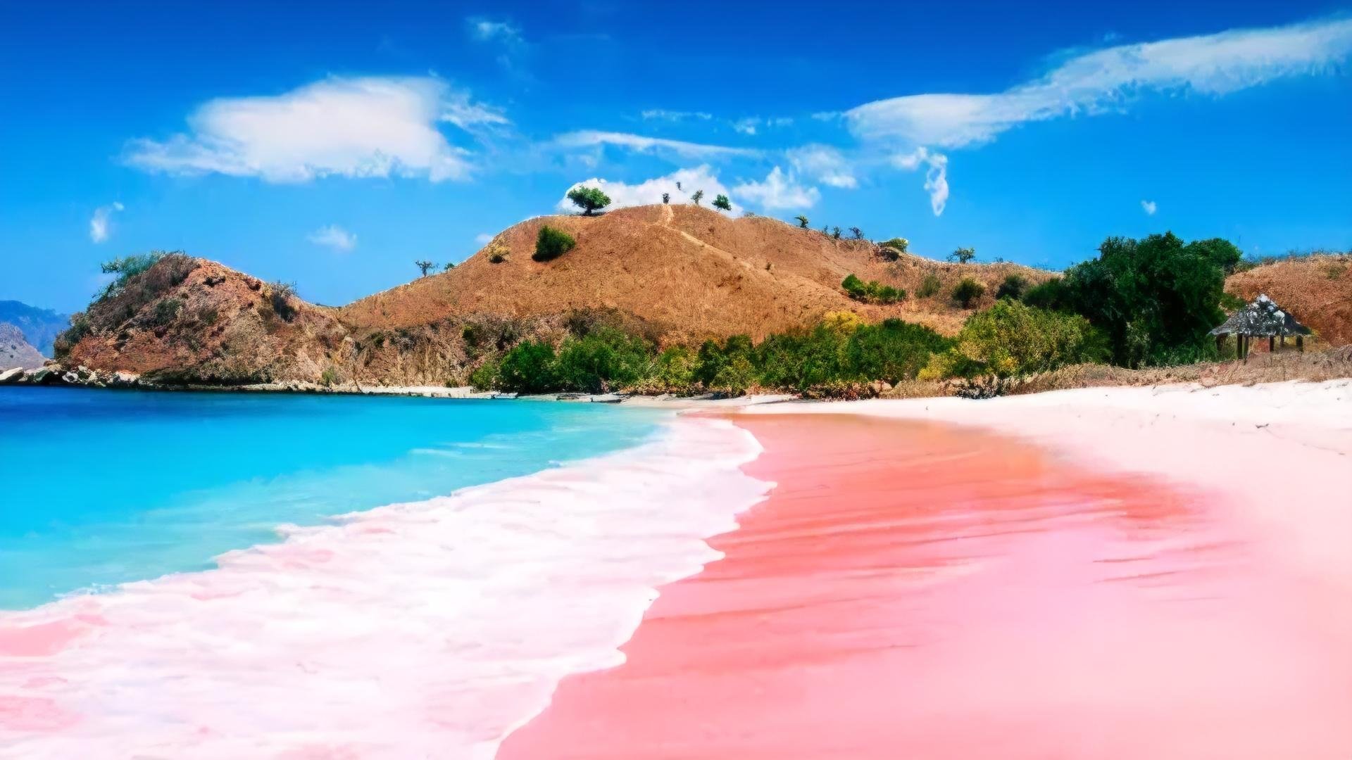 Pink Beach Lombok Island-Hopping & Snorkeling Adventure