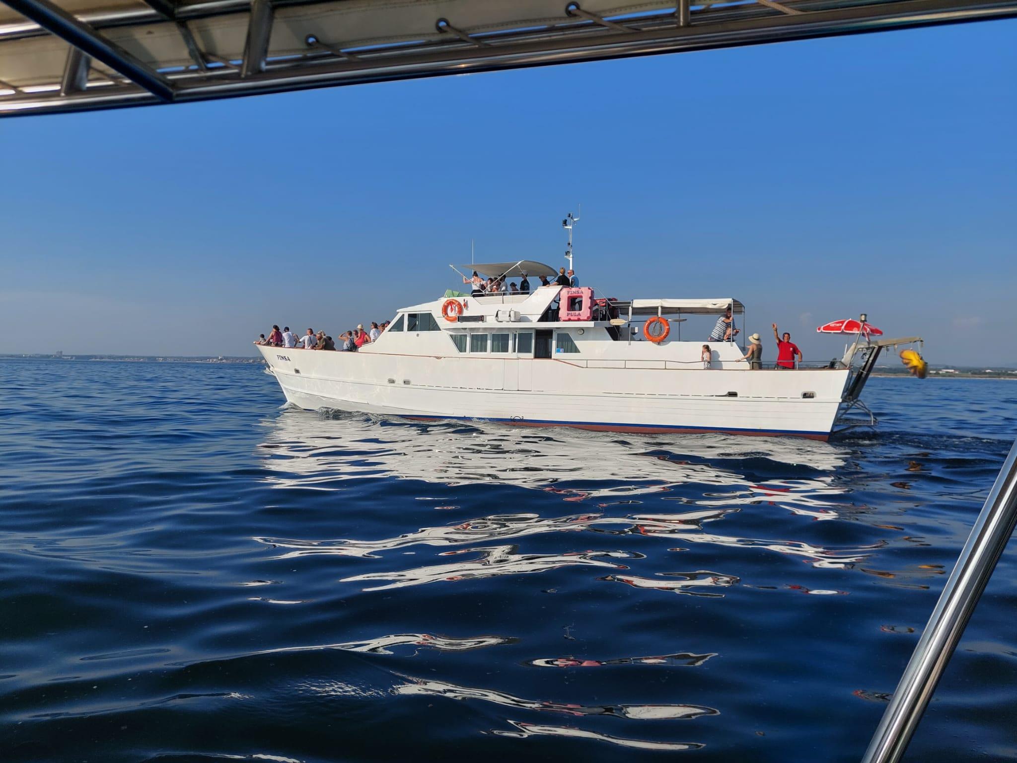 Umag Coastal Cruise with Dolphin Watching