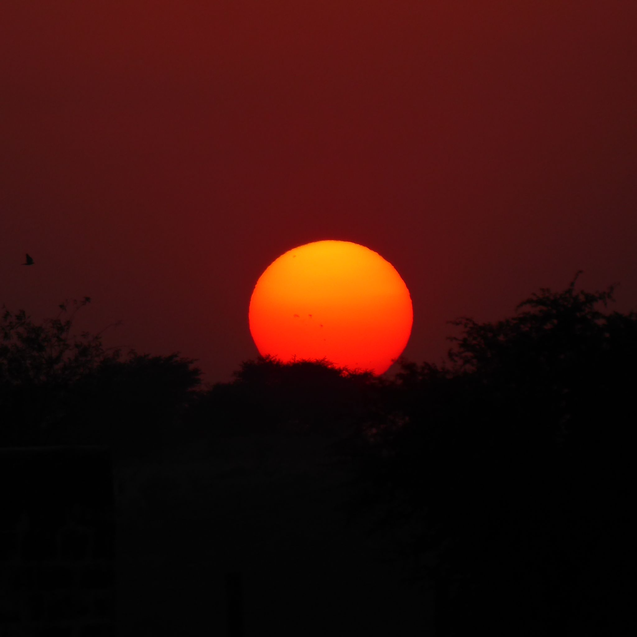 Jodhpur Desert Expedition: Osian Dunes, Camel Ride & Cultural Night
