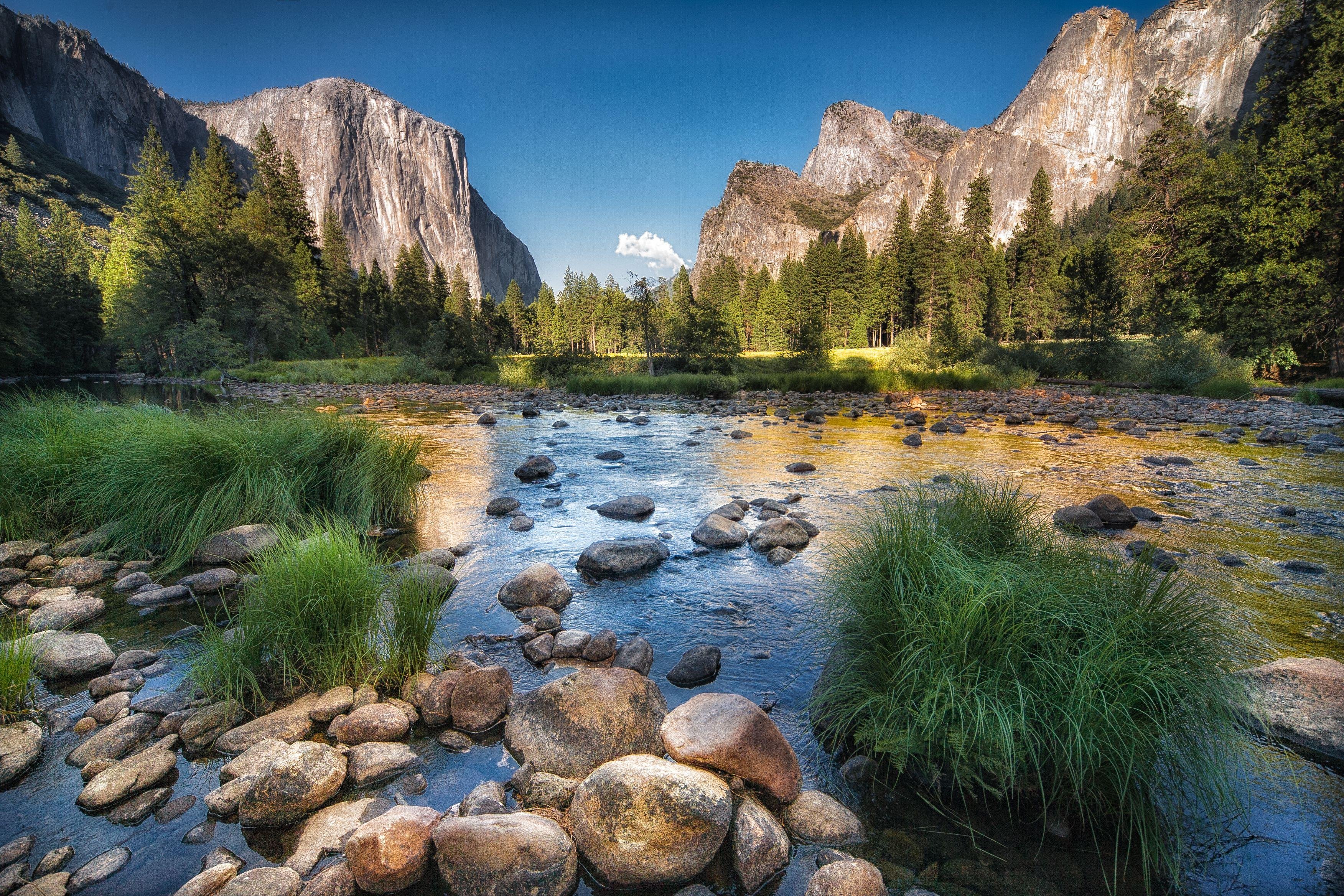 From San Francisco: Day Trip to Yosemite National Park