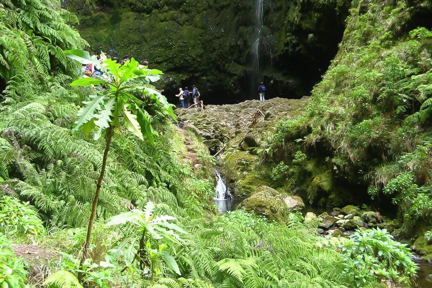 Caldeirão Verde Waterfall Levada Trail