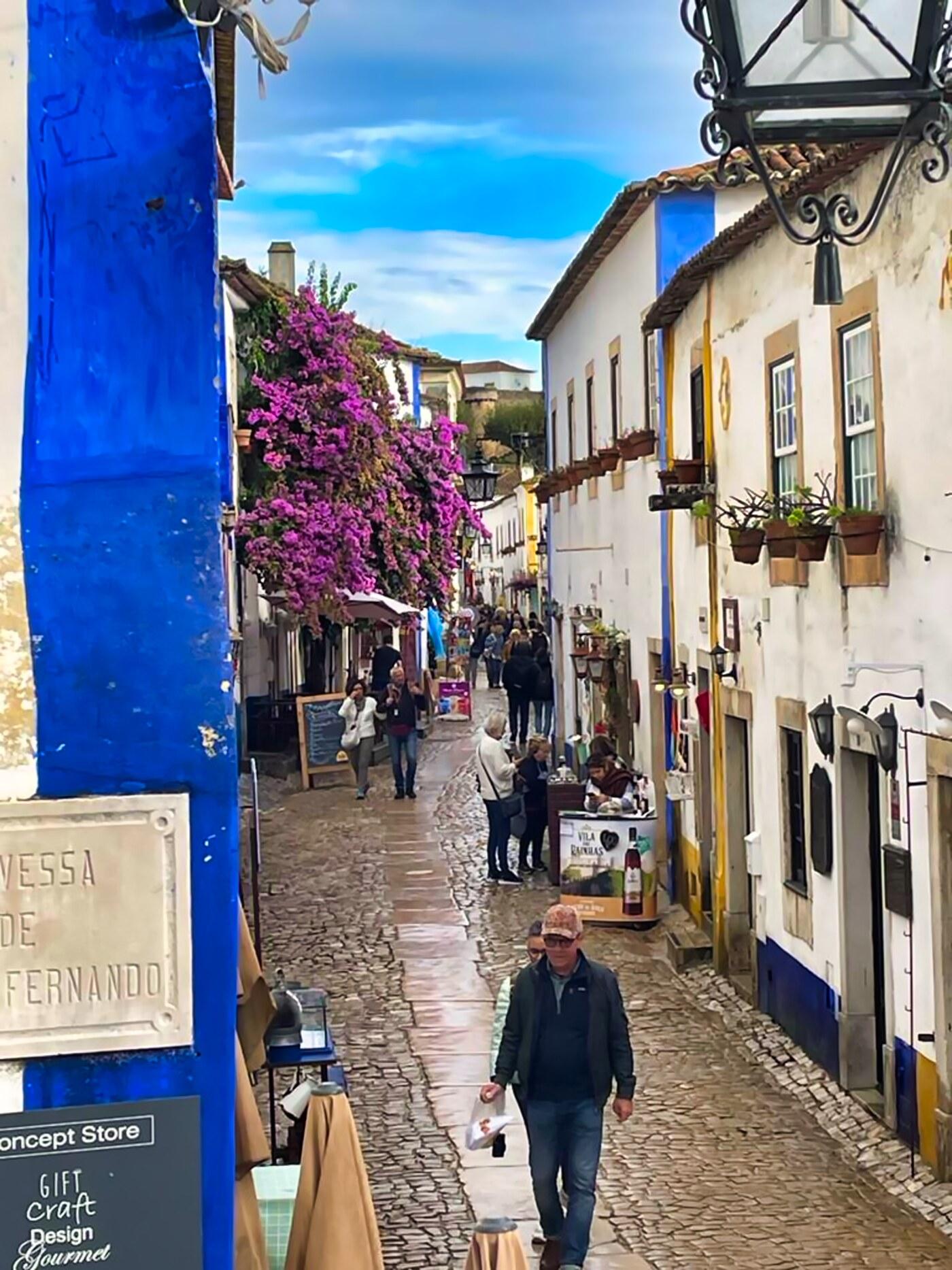 Lisbon to Porto Private Transfer with 3 Scenic Stopovers