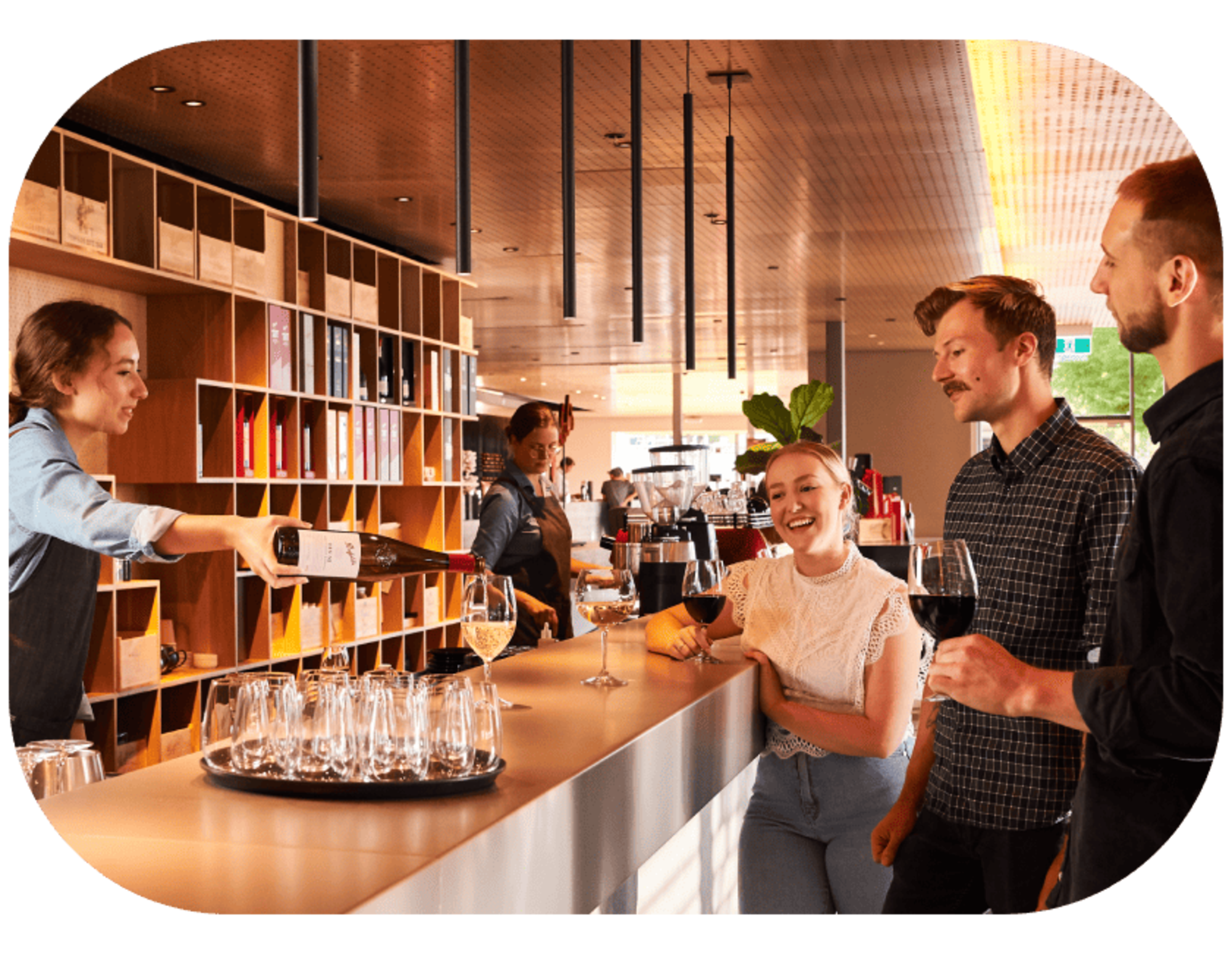 Penfolds Cellars Heritage Tour & Tasting Experience