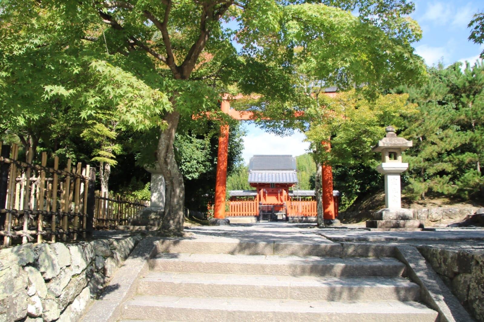 嵐山ガイド付きウォーキングツアー：竹林、禅寺、モンキーパーク