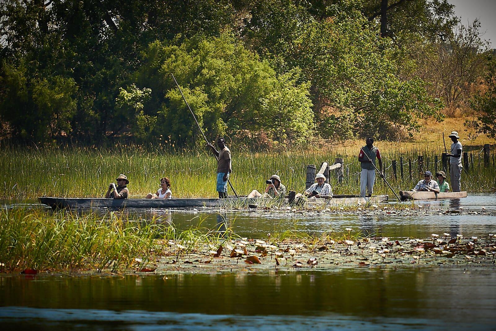 Okavango Delta Mokoro Canoe & Bush Walk Day Trip