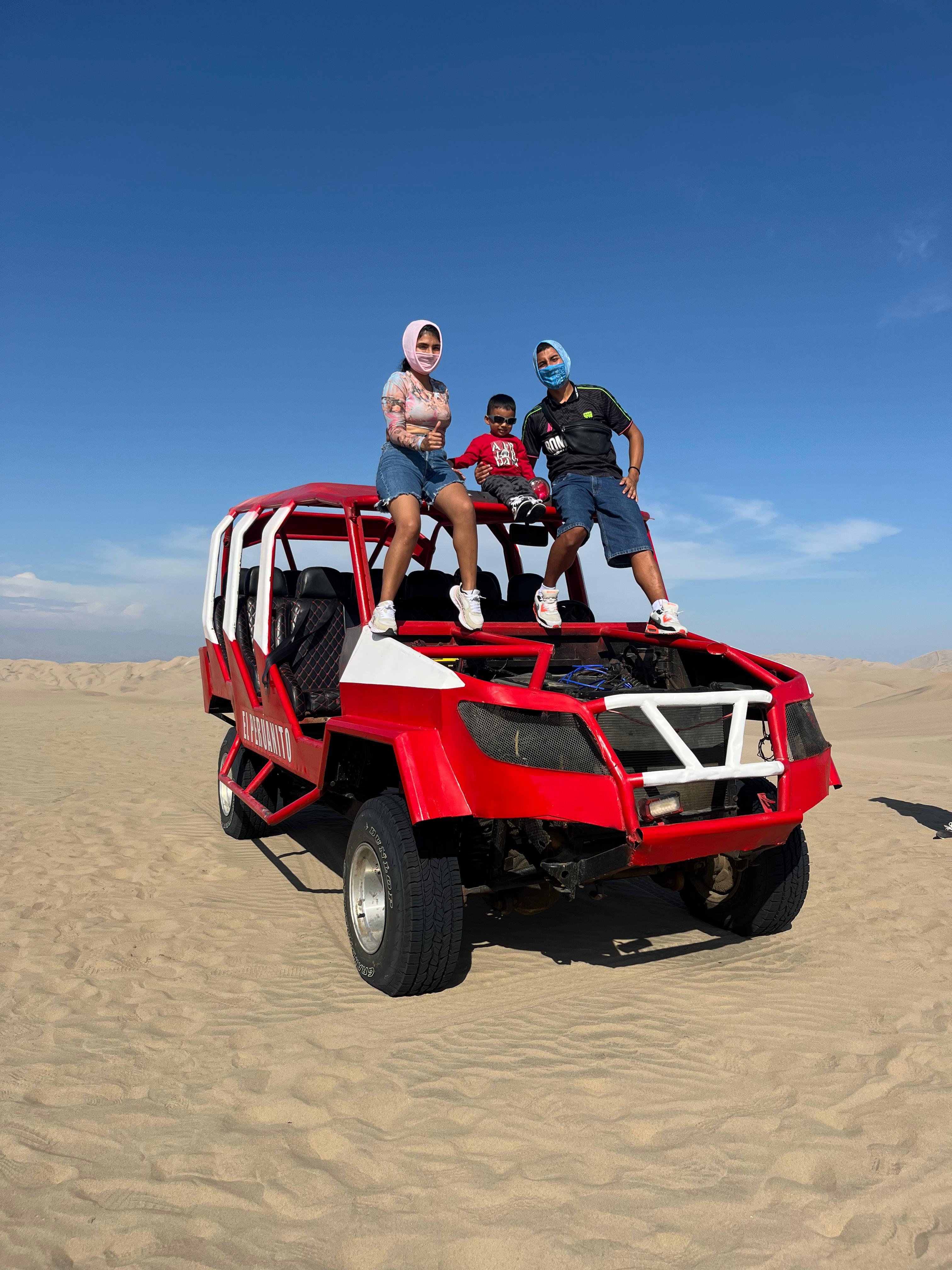 Excursión de un día a Paracas y Huacachina: vida silvestre, aventura en el desierto y cata de vinos