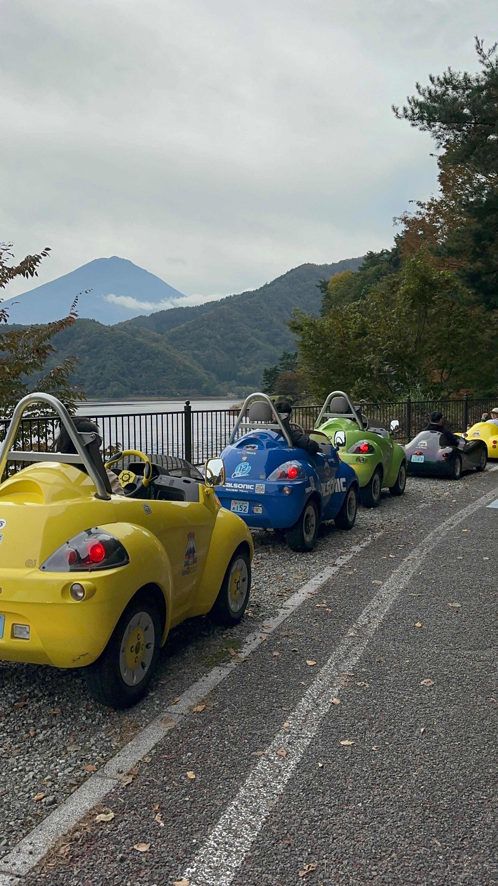 Lake Kawaguchiko Electric Mini Car Guided Tour