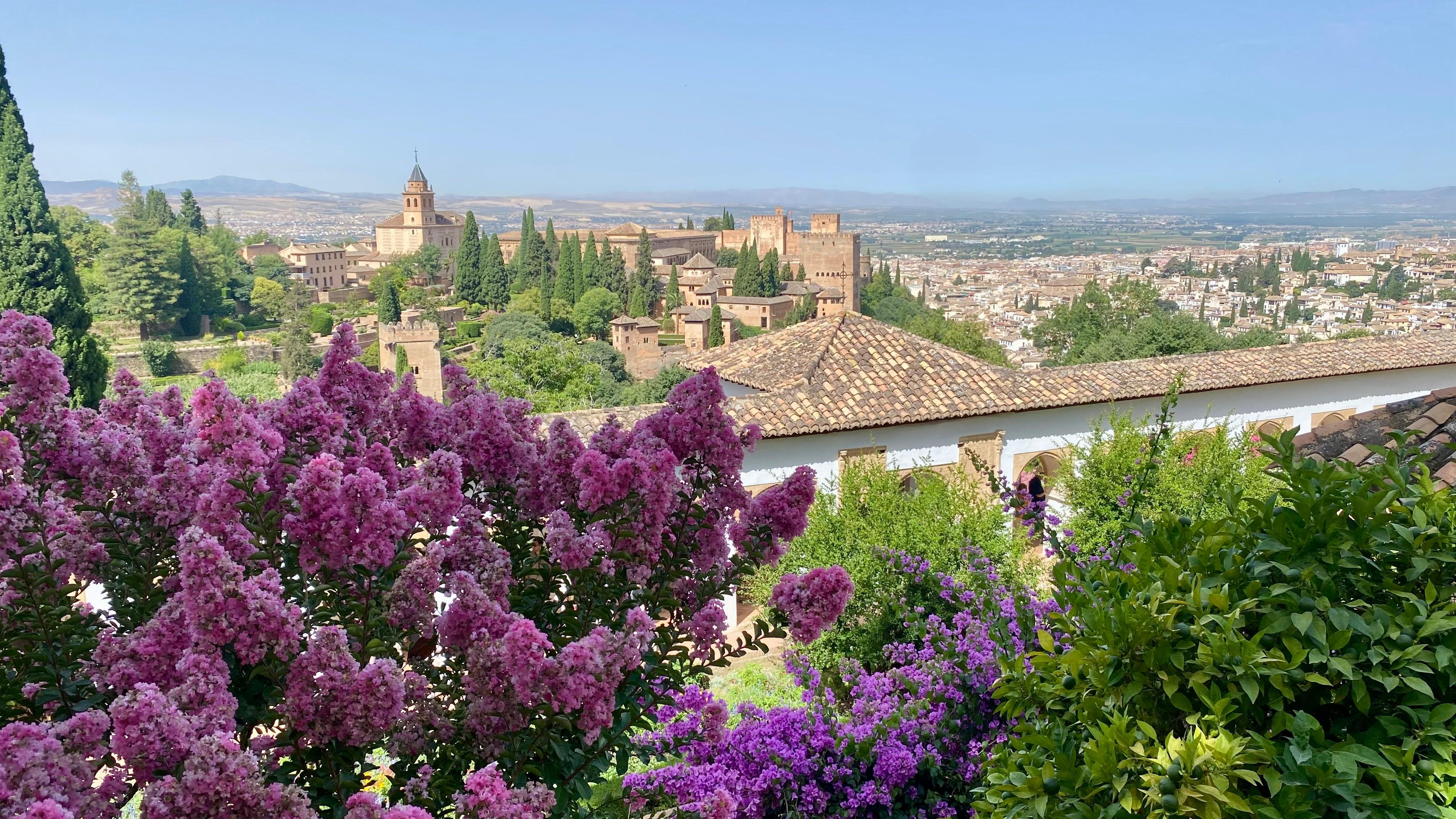 Generalife and Alhambra skip-the-line tour — Nasrid palaces, gardens, Alcazaba ramparts — image 14