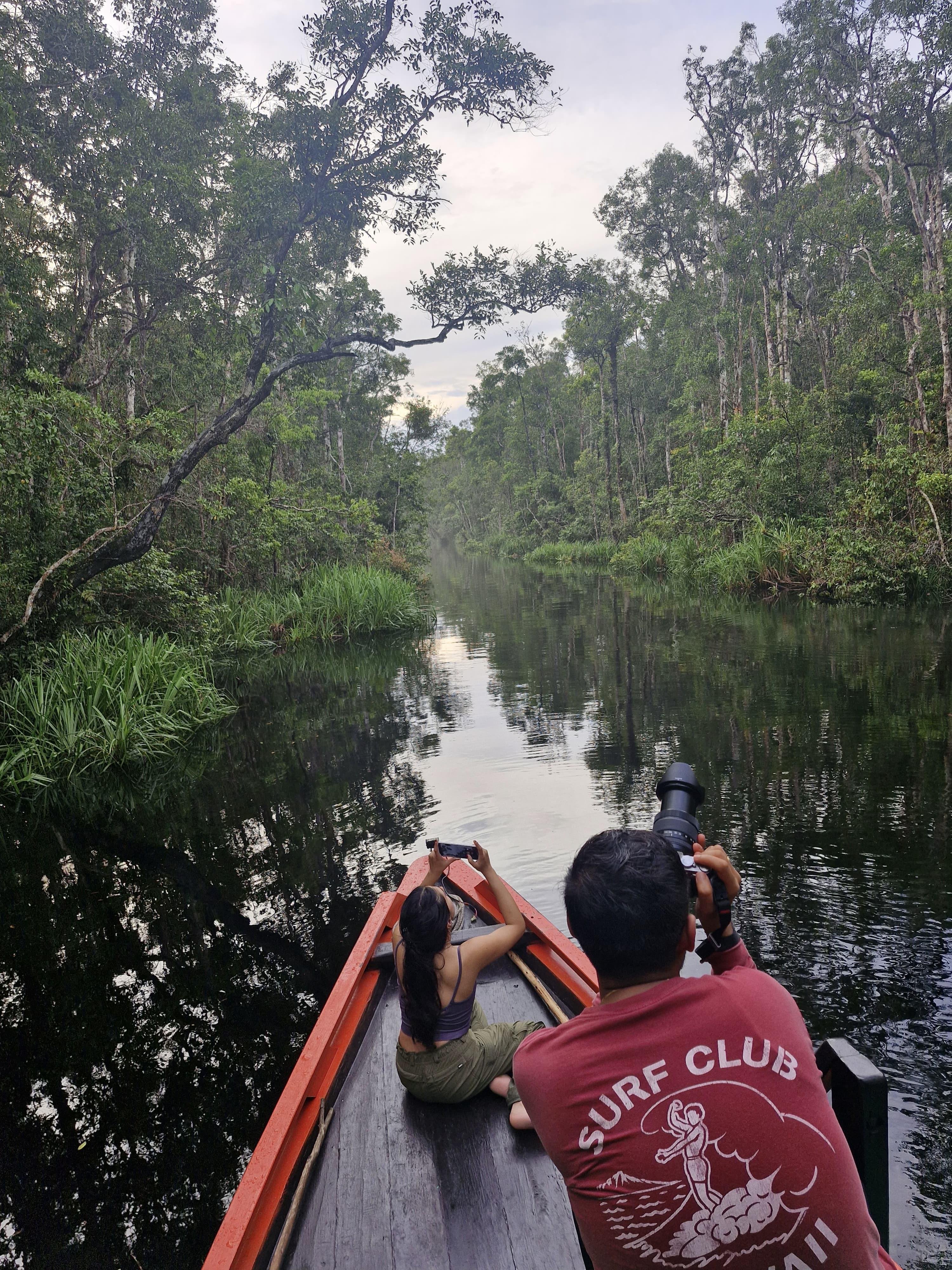 3-Day Borneo Rainforest & Orangutan Kelotok Adventure