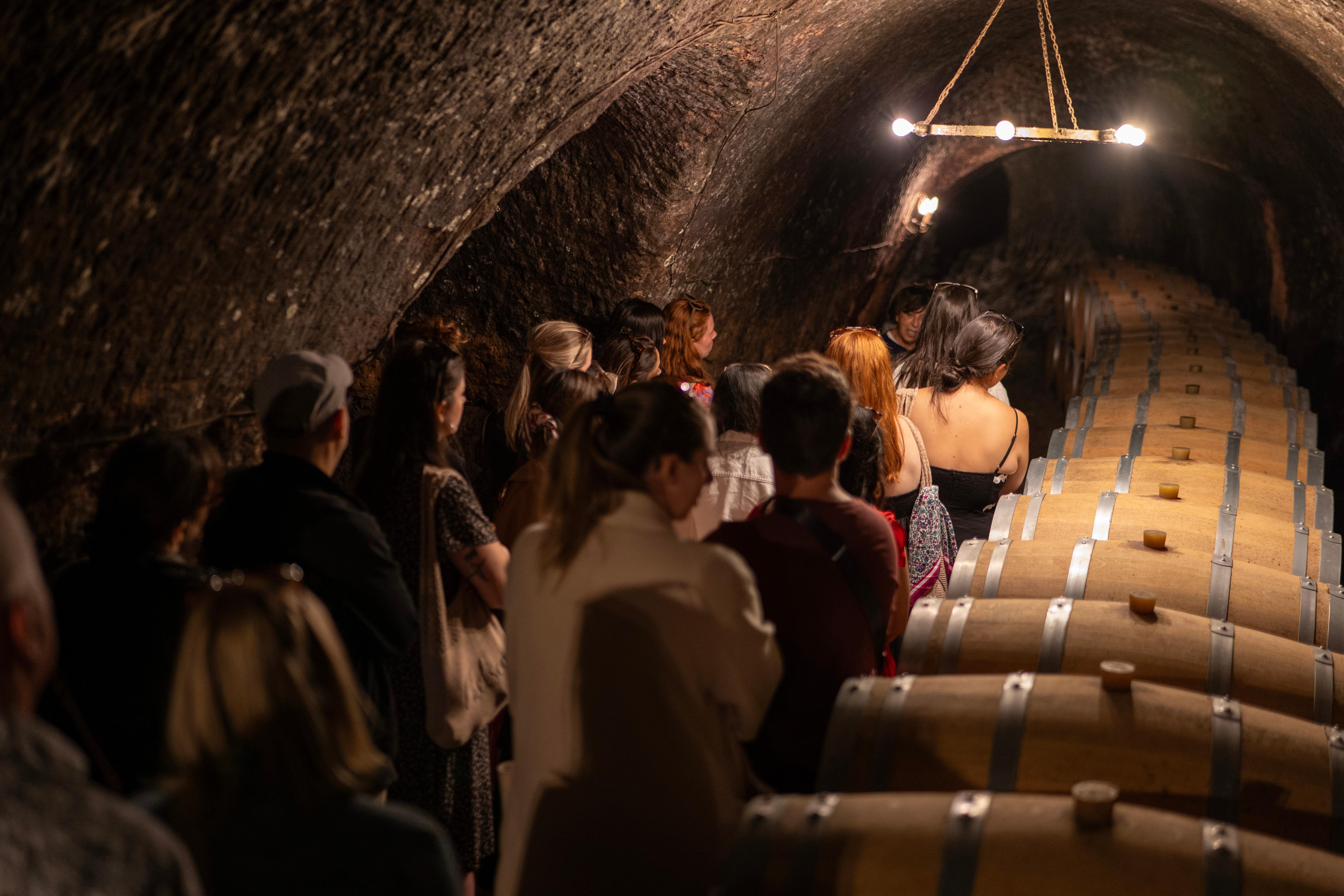 wine tour in Ribera del Duero — photo 4