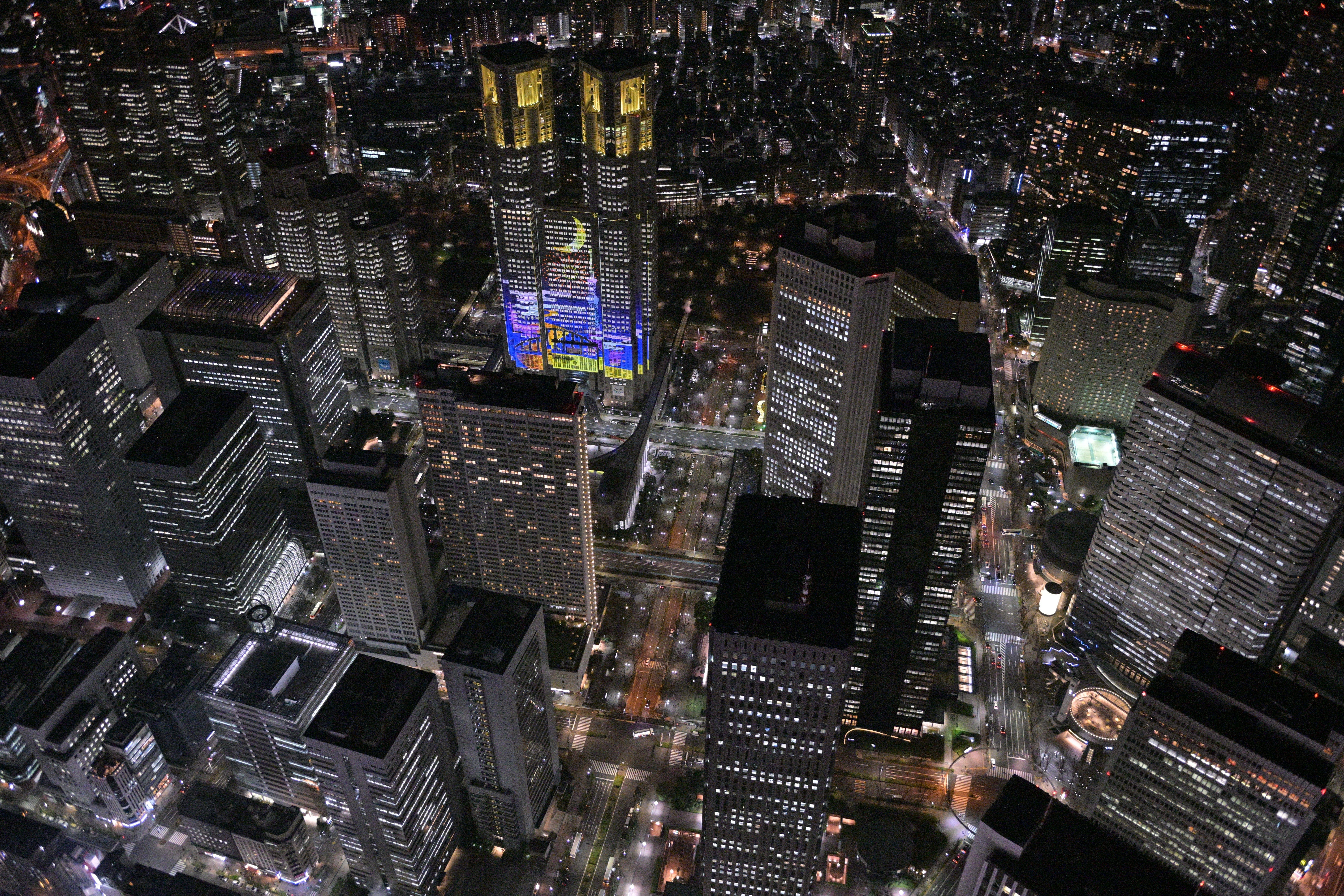 Tokyo night helicopter tour — image 2