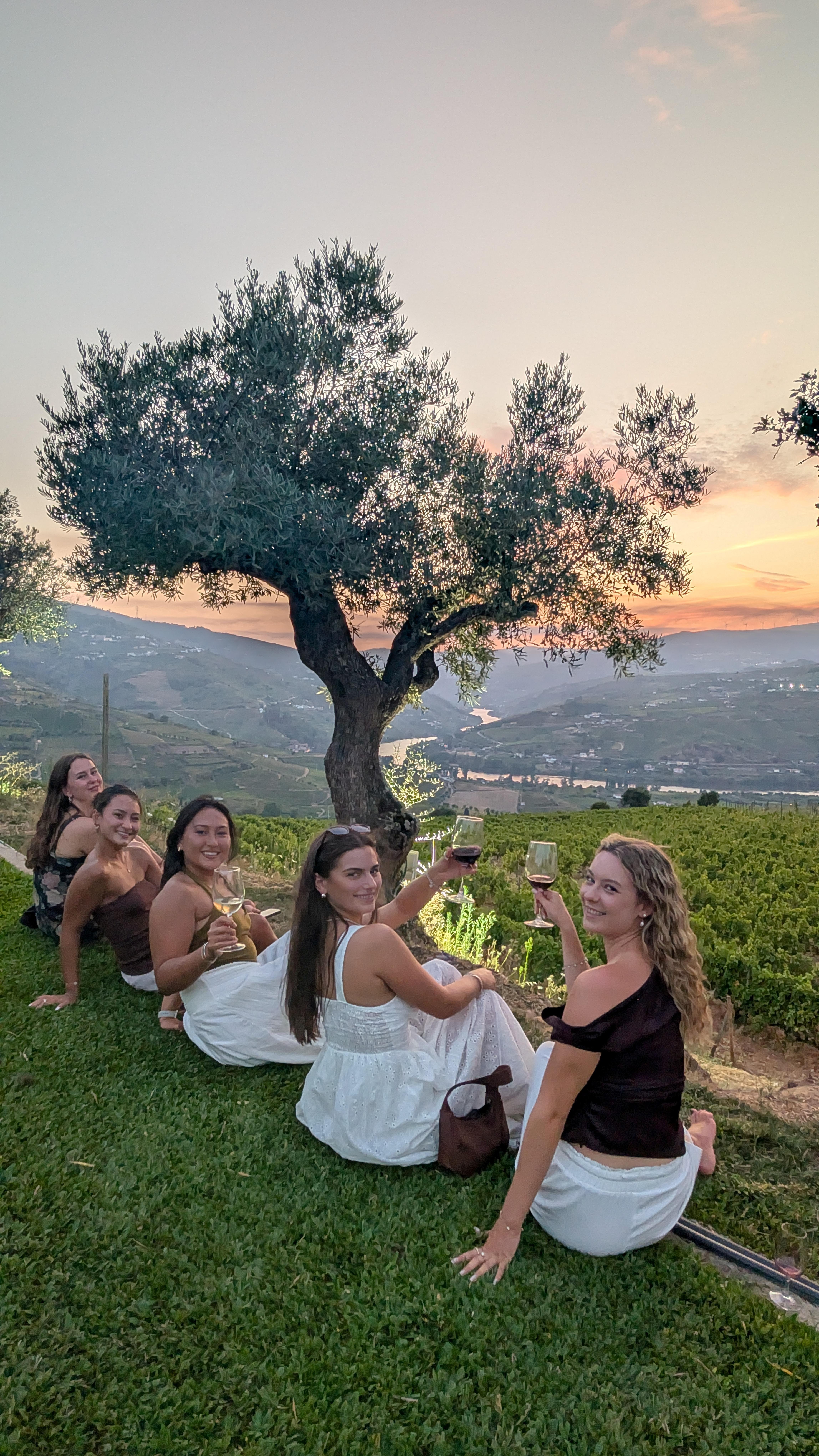 Porto: Douro Valley & Vinho Verde Day Tour with Tastings, Lunch & Boat Cruise