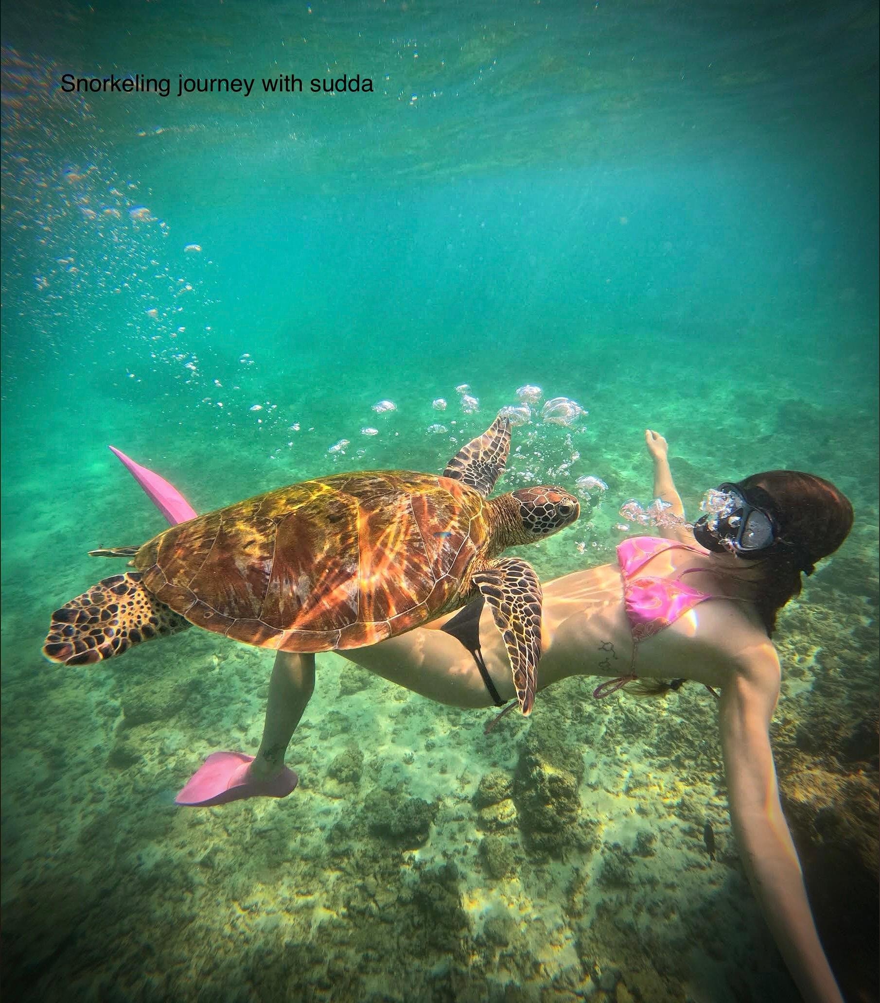 Thalaramba Sea Turtle Snorkeling Tour