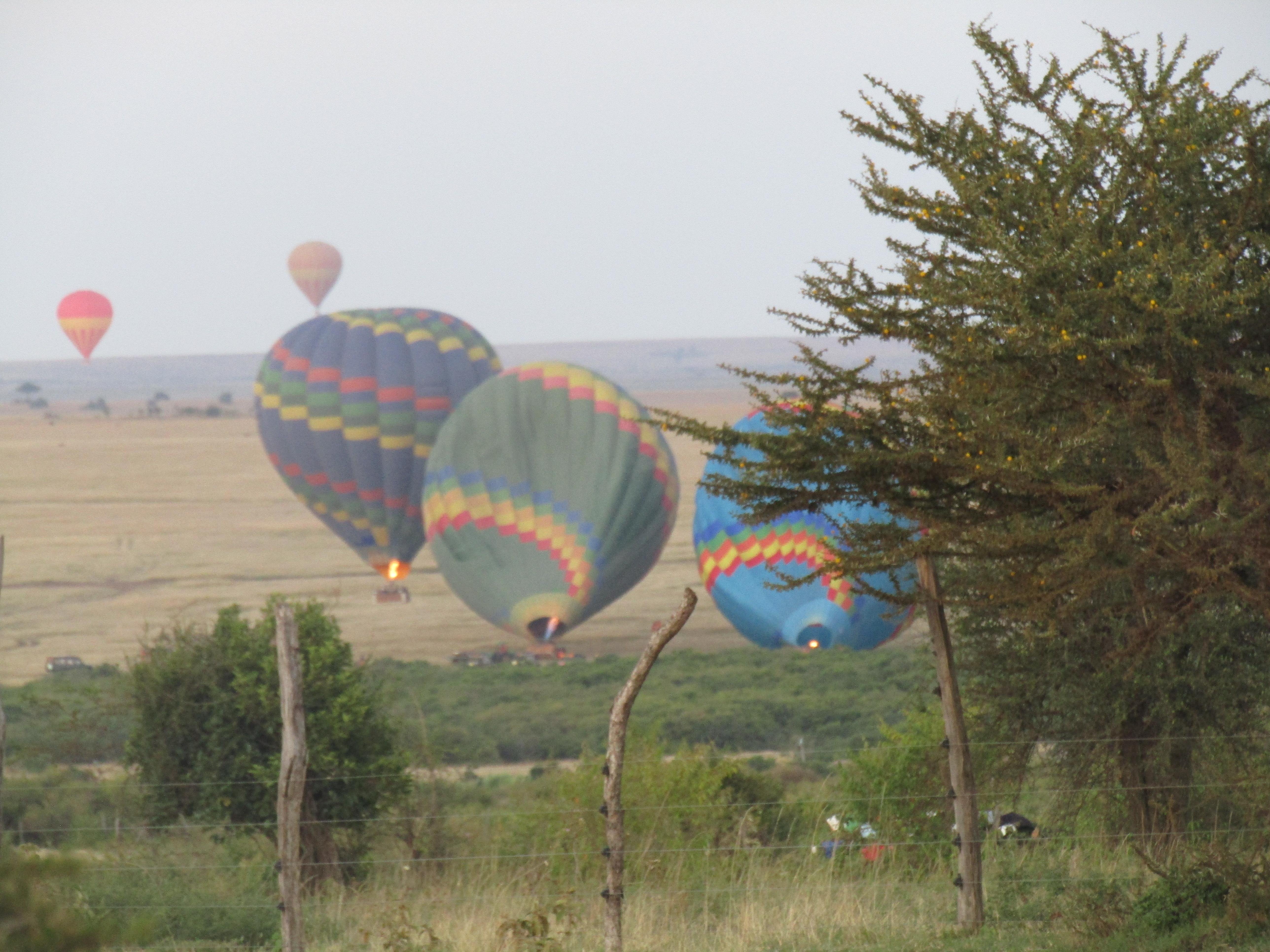 3-Day Masai Mara Safari Adventure from Nairobi
