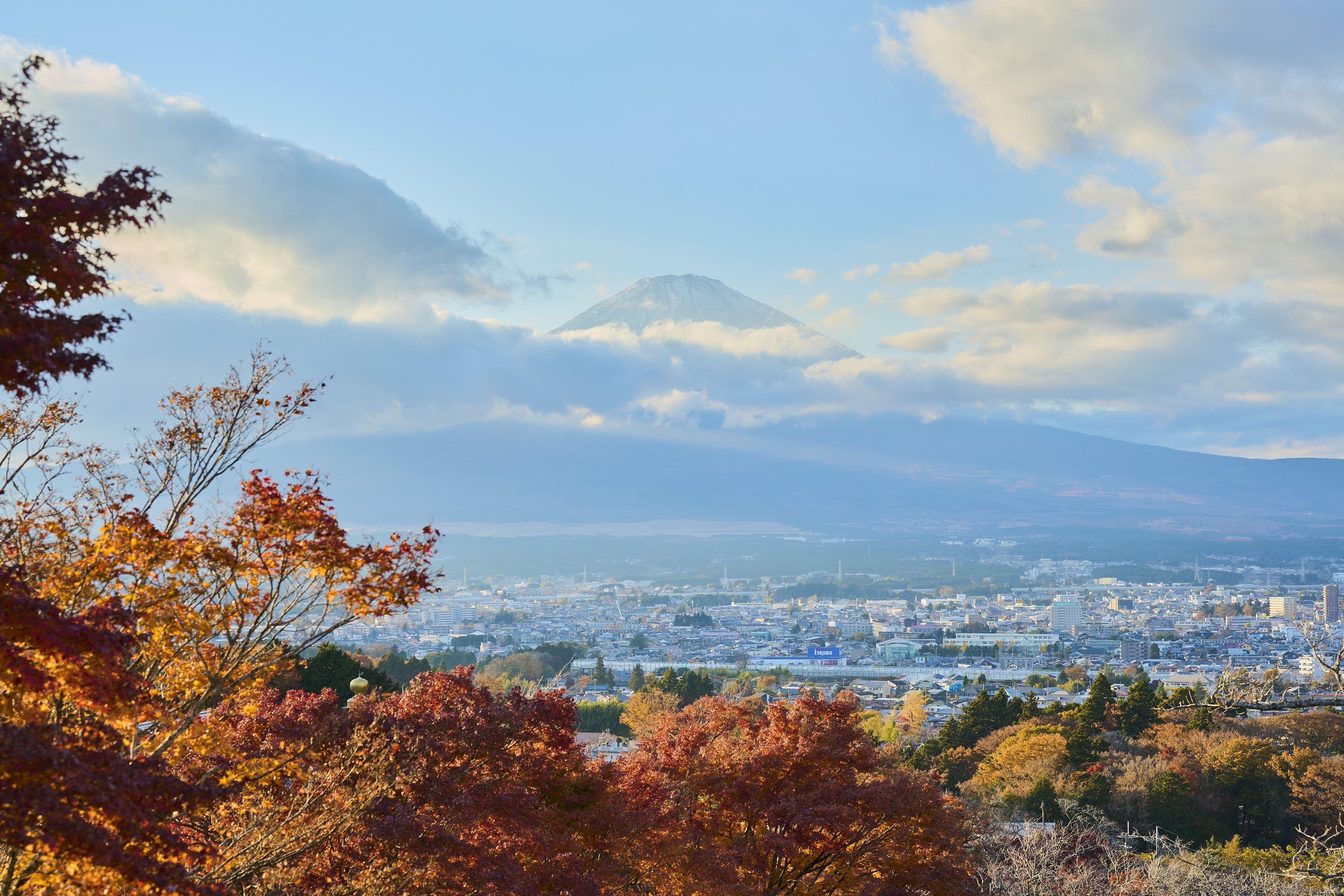 Mt. Fuji & Hakone Day Trip: Pirate Cruise, Ropeway & Shrine from Tokyo