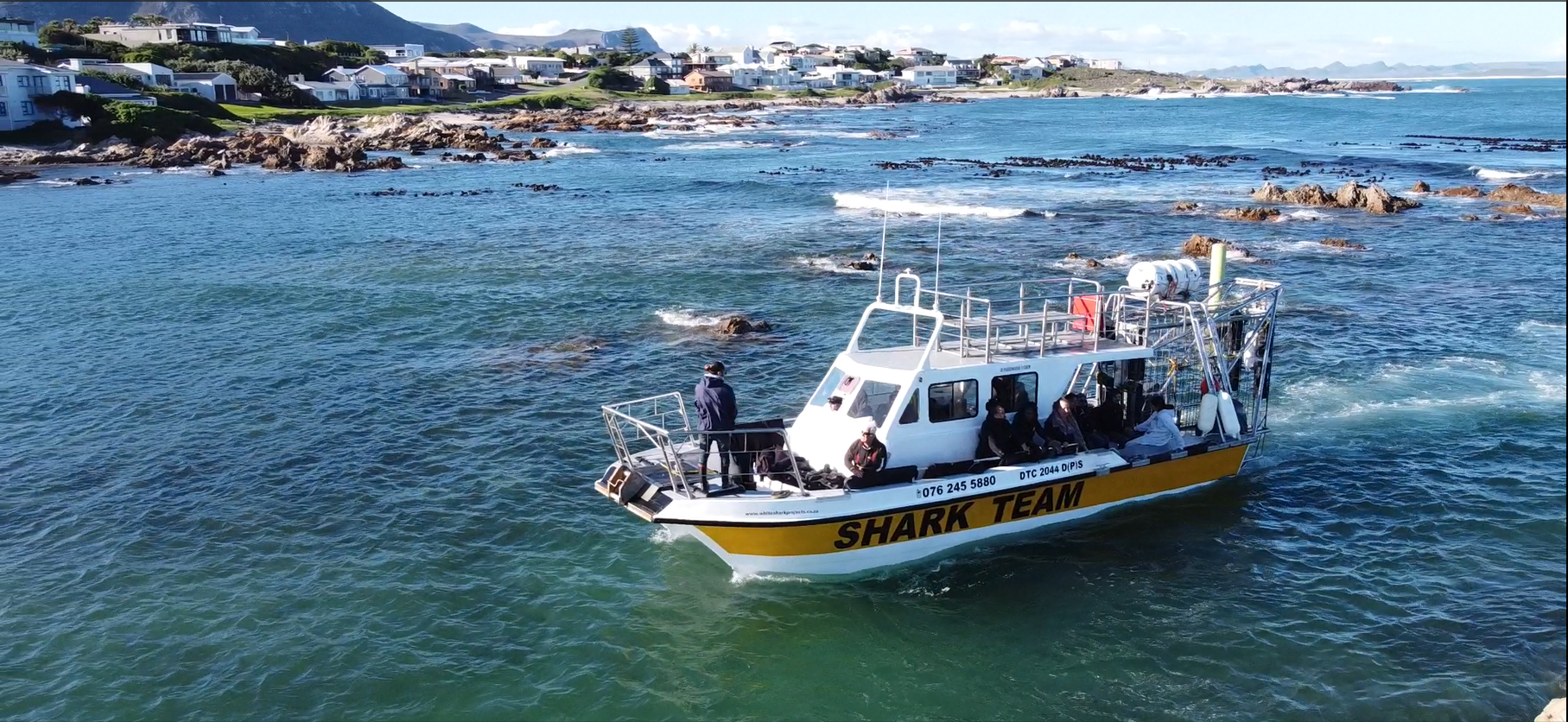 Shark Cage Diving from Cape Town or Hermanus – White Shark Projects