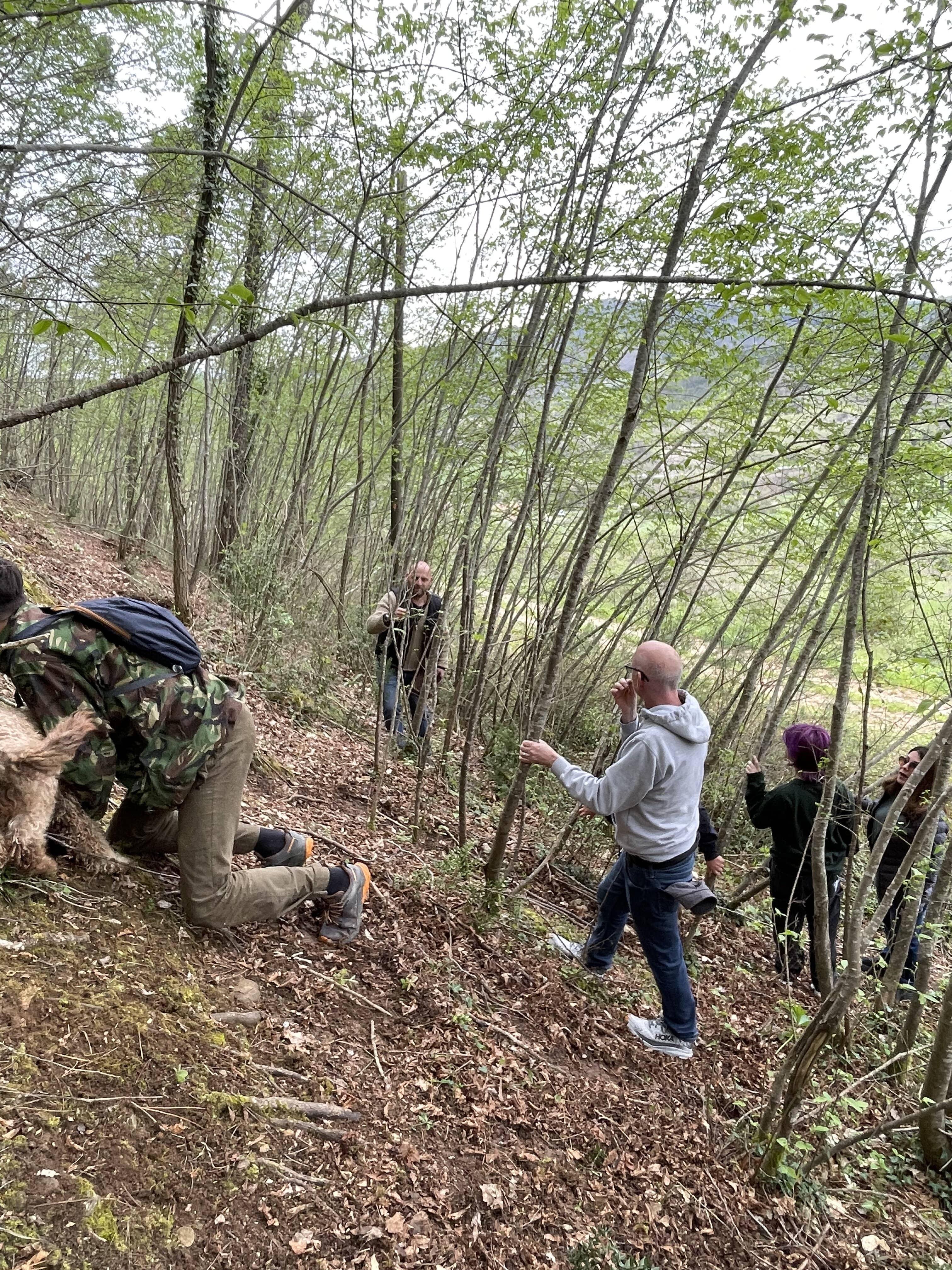 truffle hunting in Umbria — photo 11