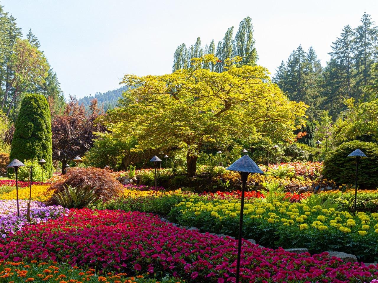 Butchart Gardens day trip from Vancouver — Sunken Garden, Brentwood Bay and the BC Ferries crossing — image 17