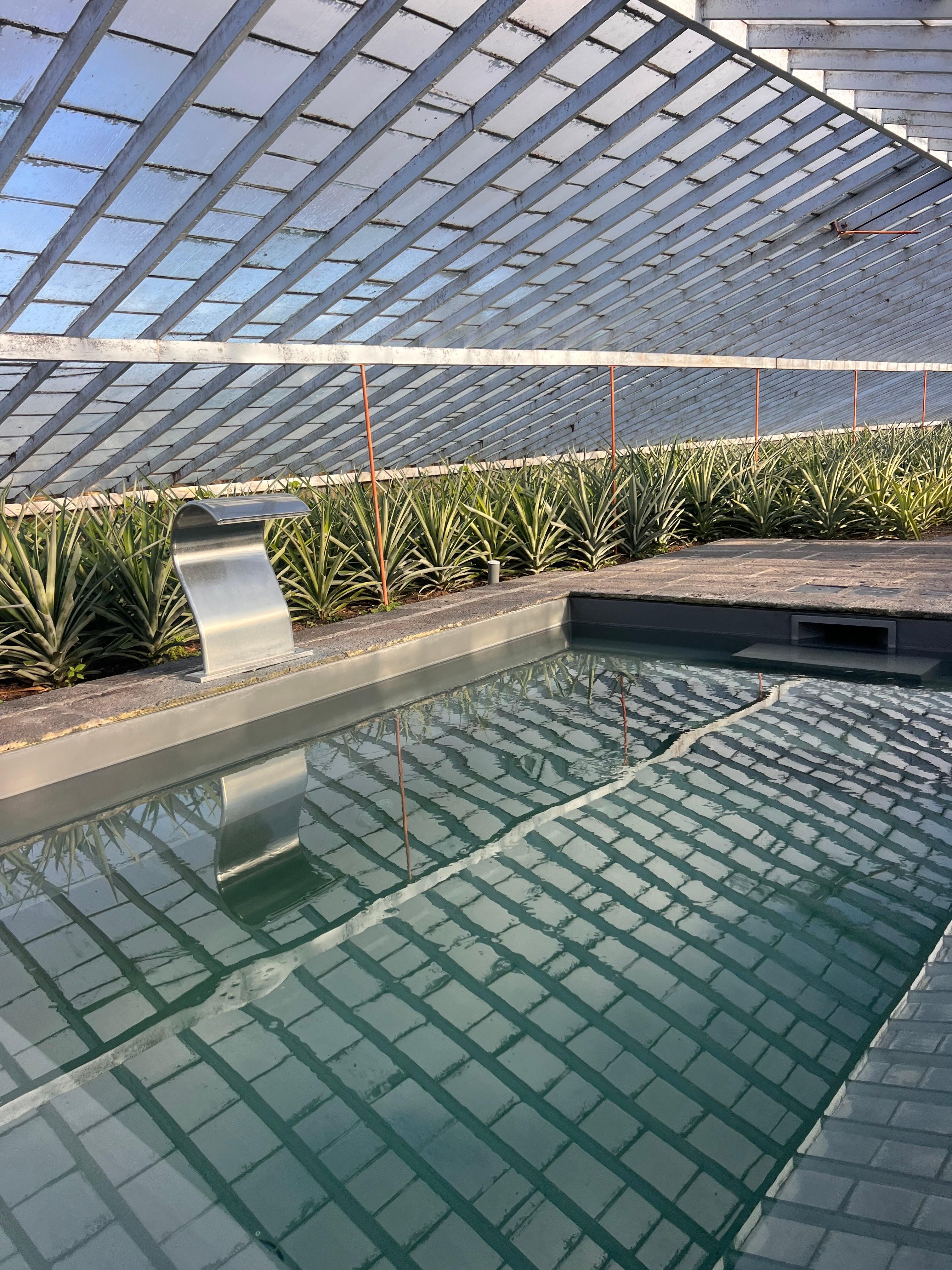 wine tour in Azores — photo 9