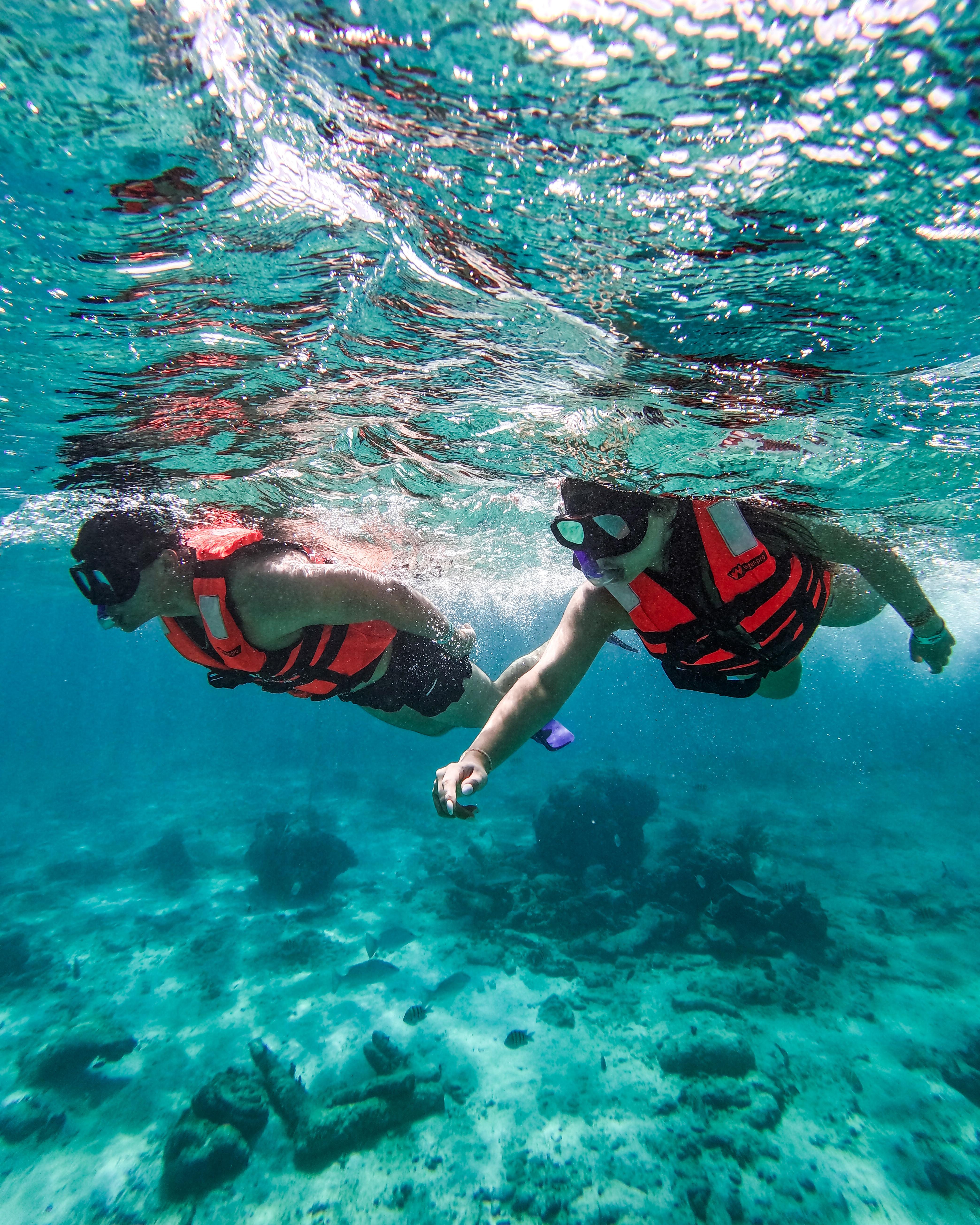 Tulum Reef Snorkeling: Two Sites in Two Hours