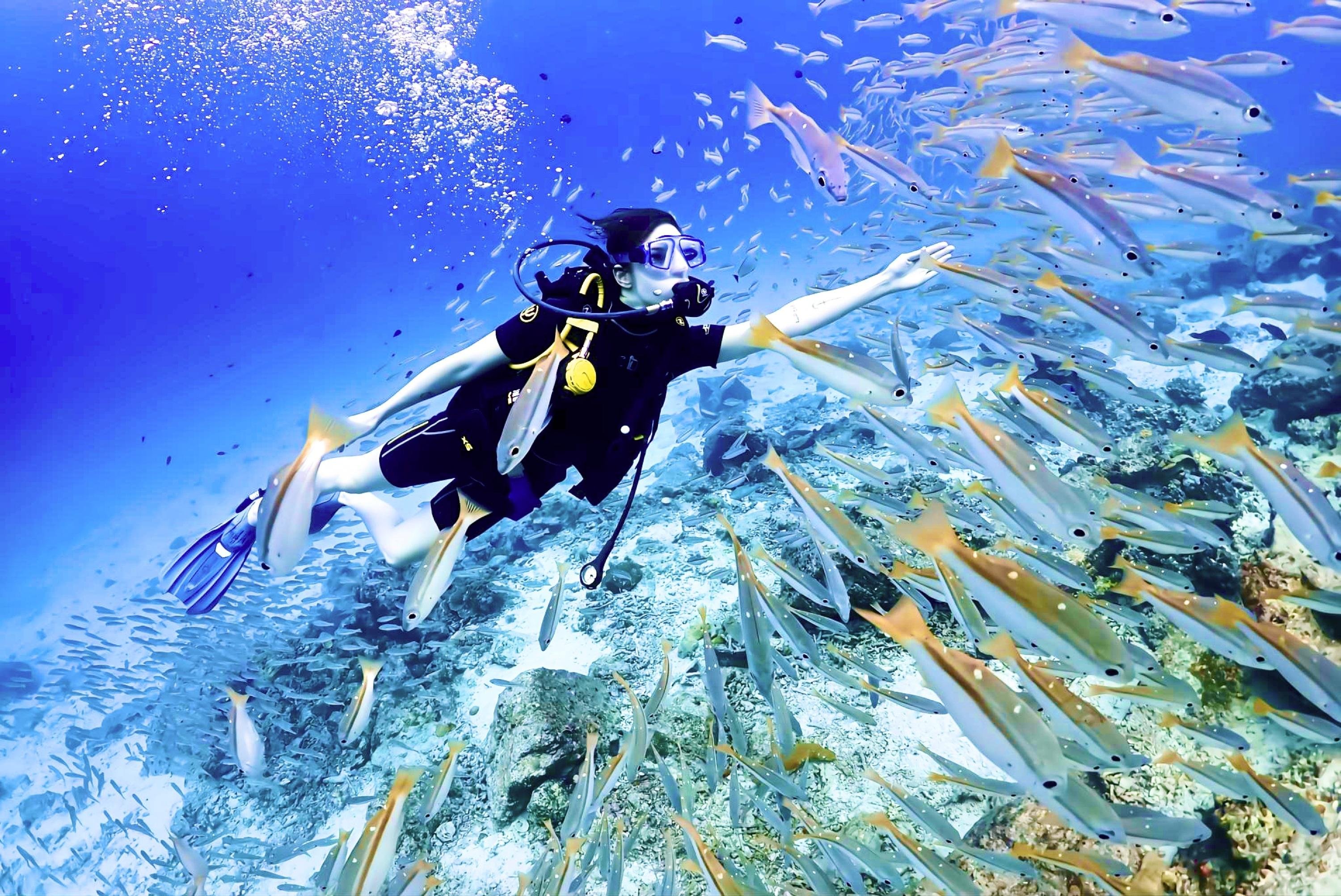 Phuket: Racha & Maiton Islands Scuba Diving for All Levels